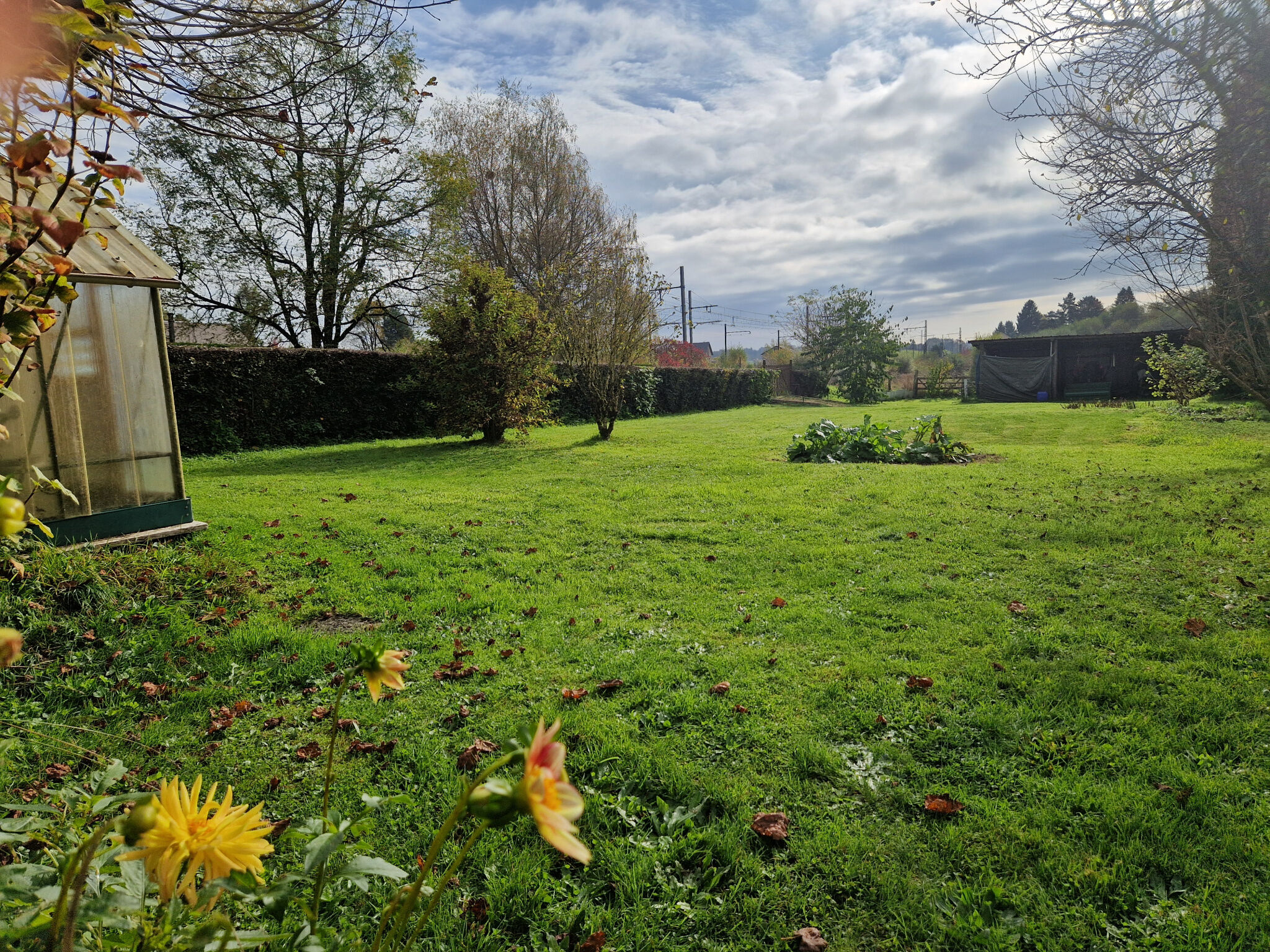 Photo 2 — IMMO COUR ET JARDIN