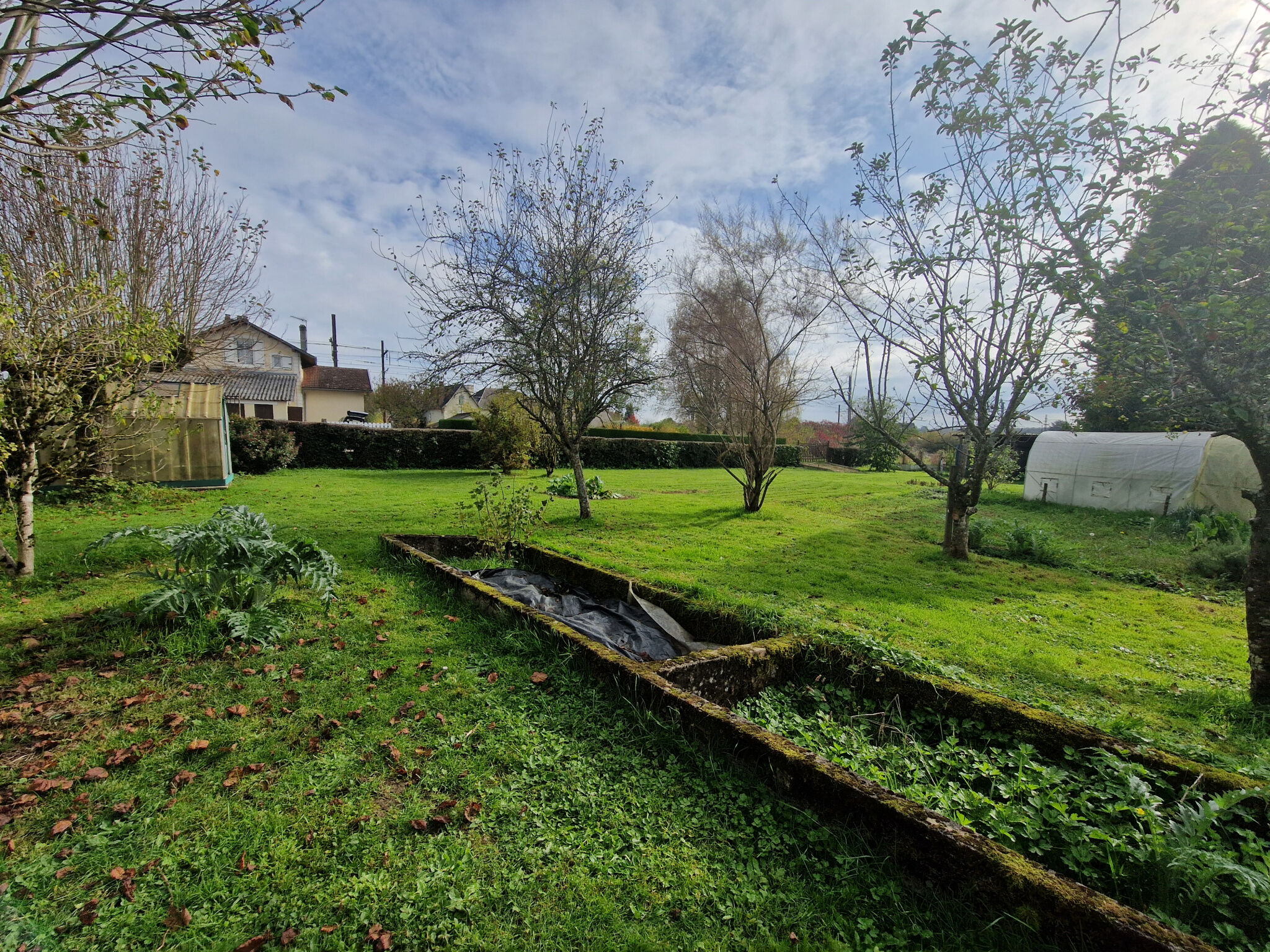 Photo 7 — IMMO COUR ET JARDIN