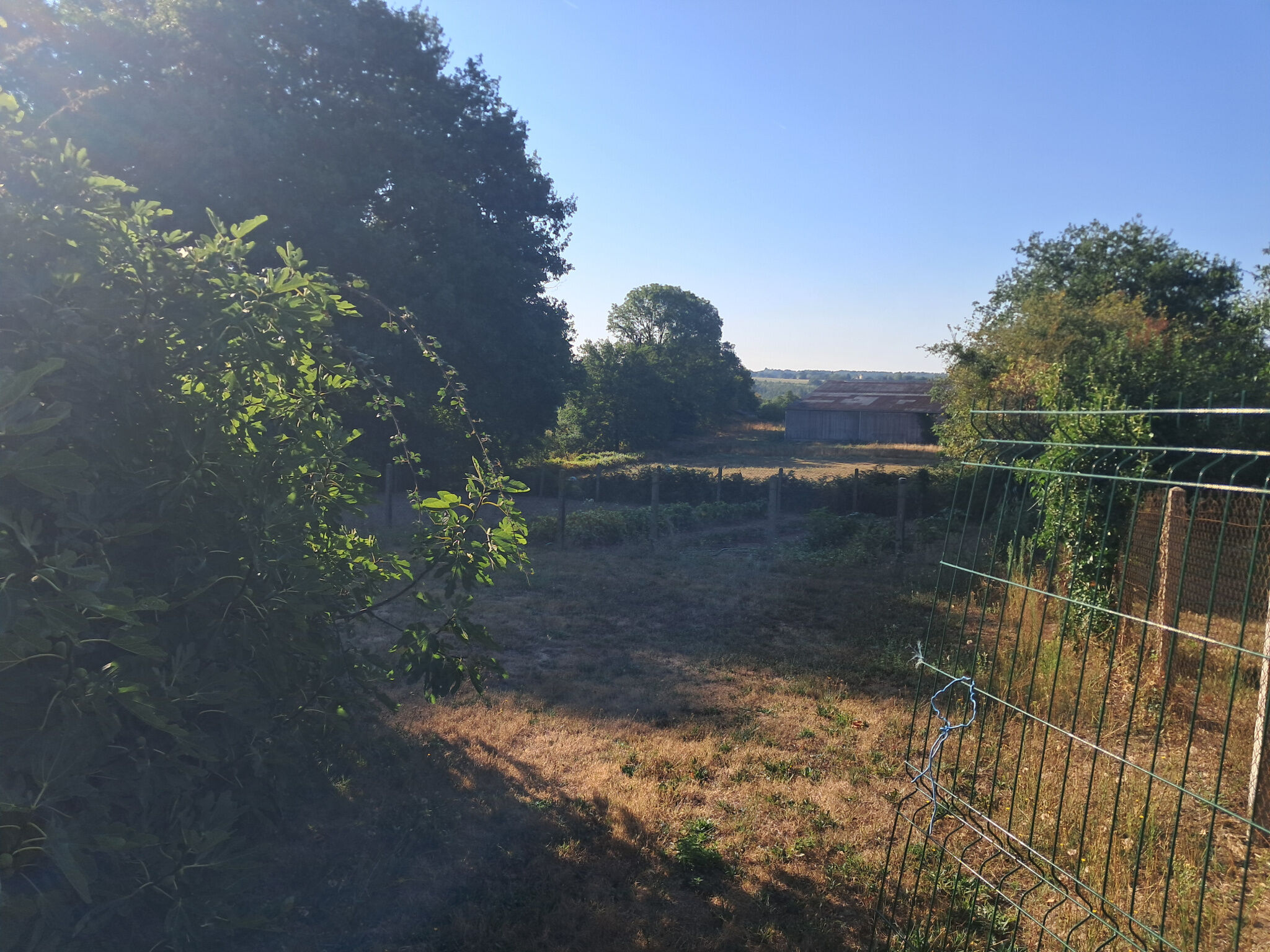 Photo 14 — IMMO COUR ET JARDIN