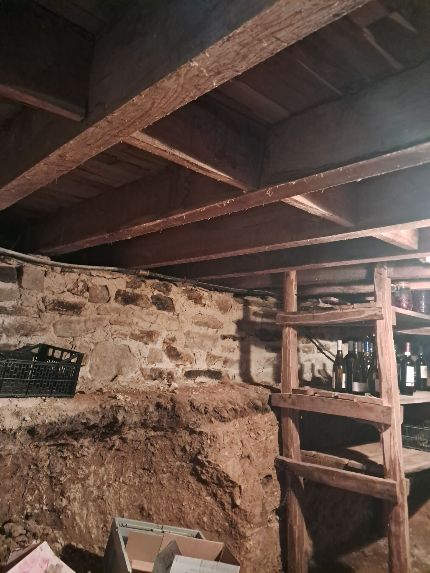 Photo 13 — IMMO COUR ET JARDIN