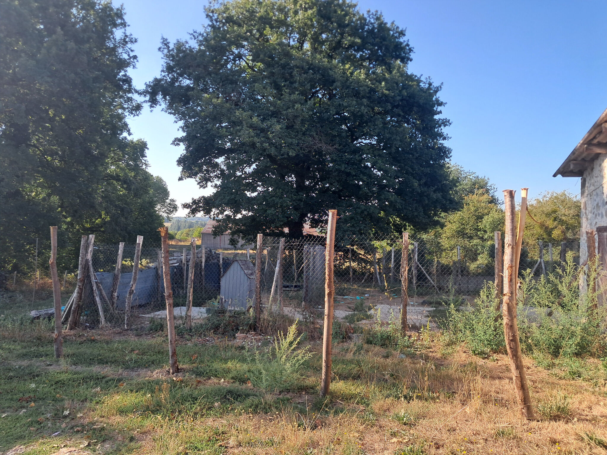 Photo 15 — IMMO COUR ET JARDIN