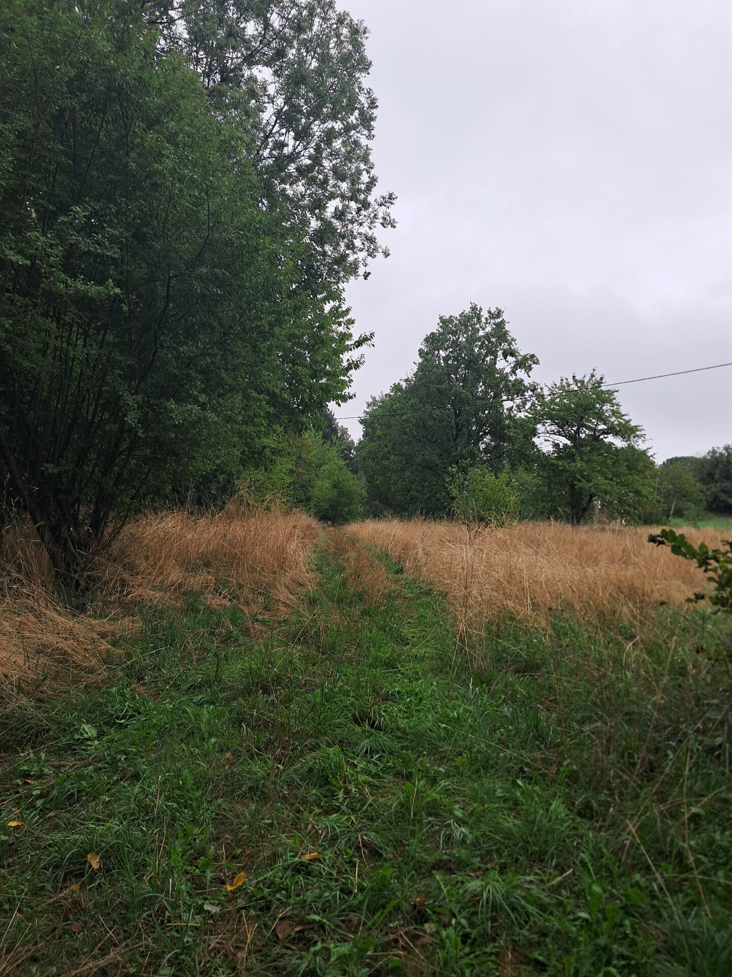 Photo 16 — IMMO COUR ET JARDIN