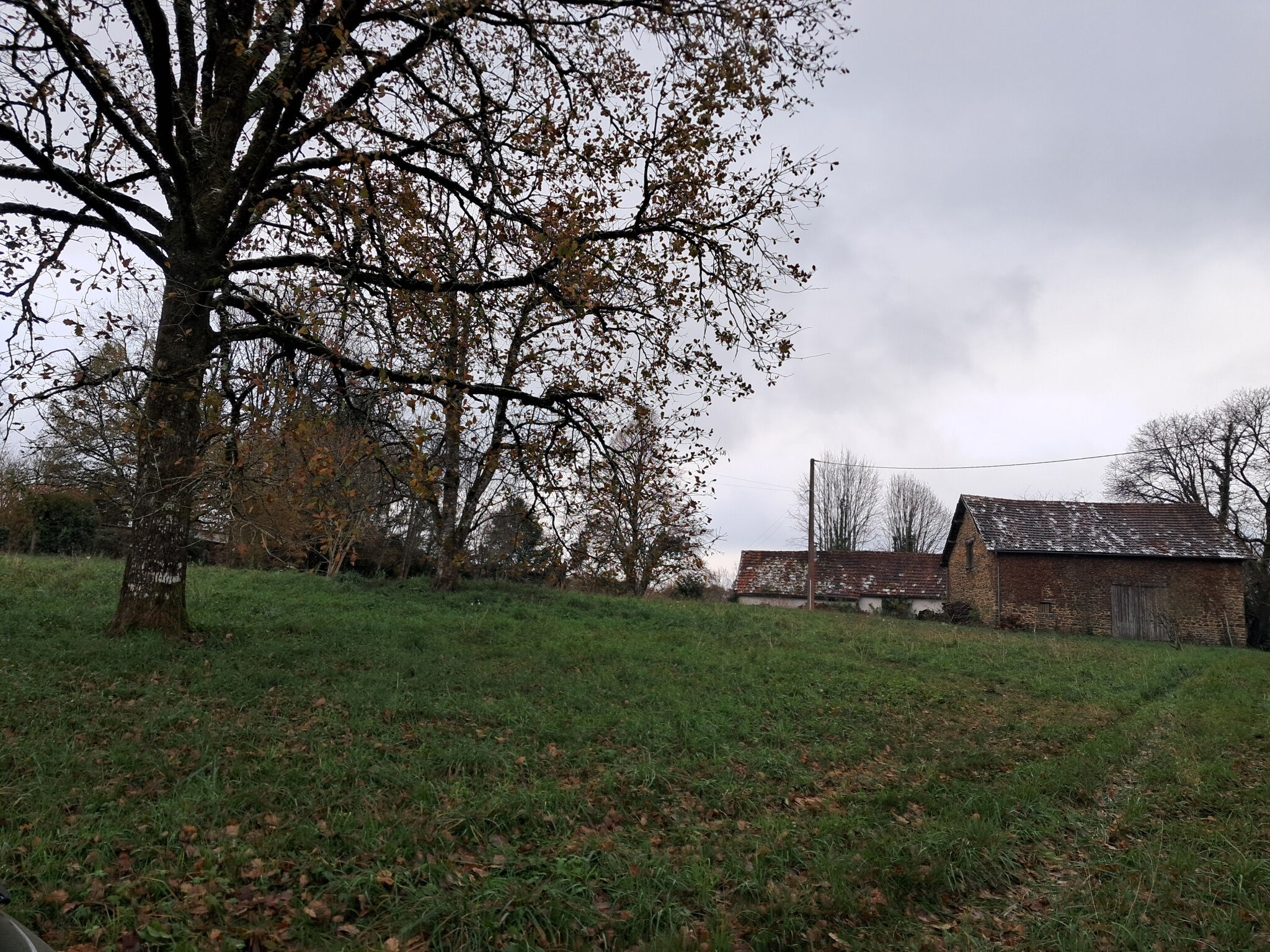 Photo 13 — IMMO COUR ET JARDIN