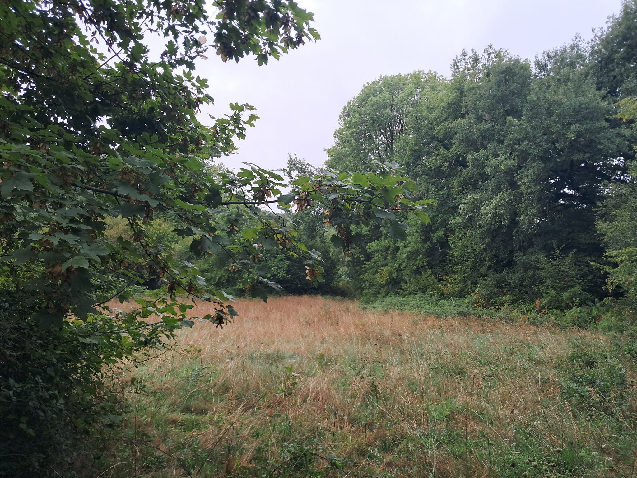 Photo 17 — IMMO COUR ET JARDIN