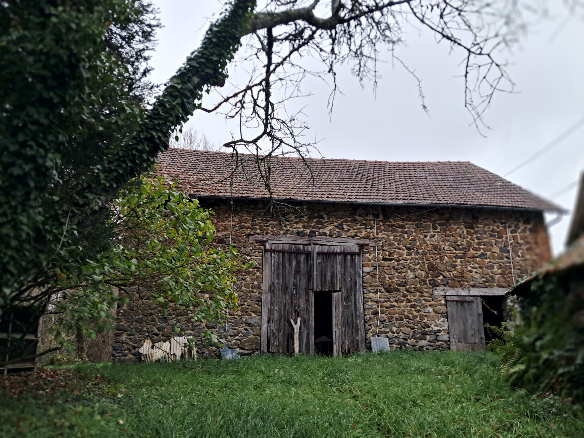 Photo 9 — IMMO COUR ET JARDIN