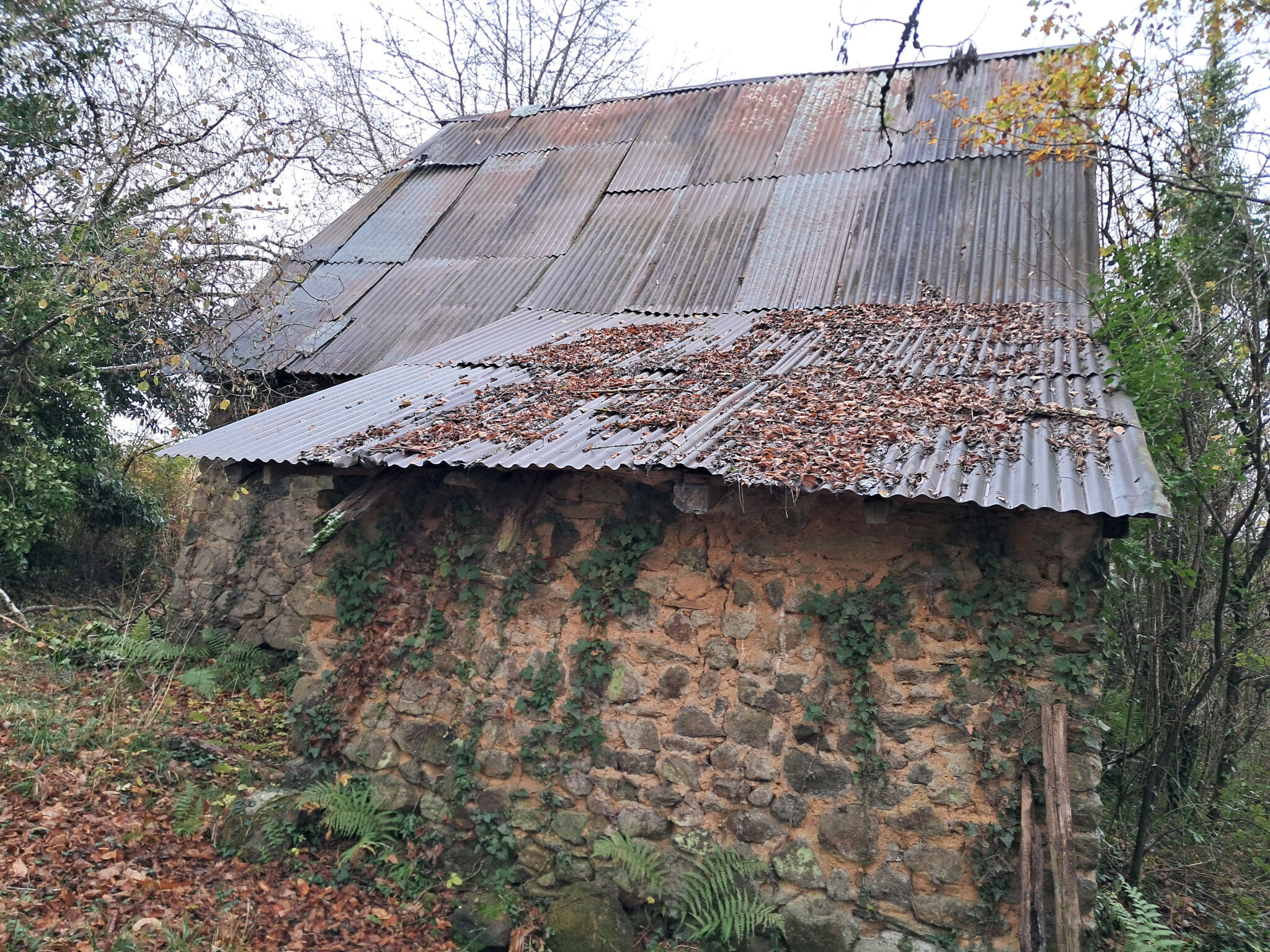 Photo 11 — IMMO COUR ET JARDIN
