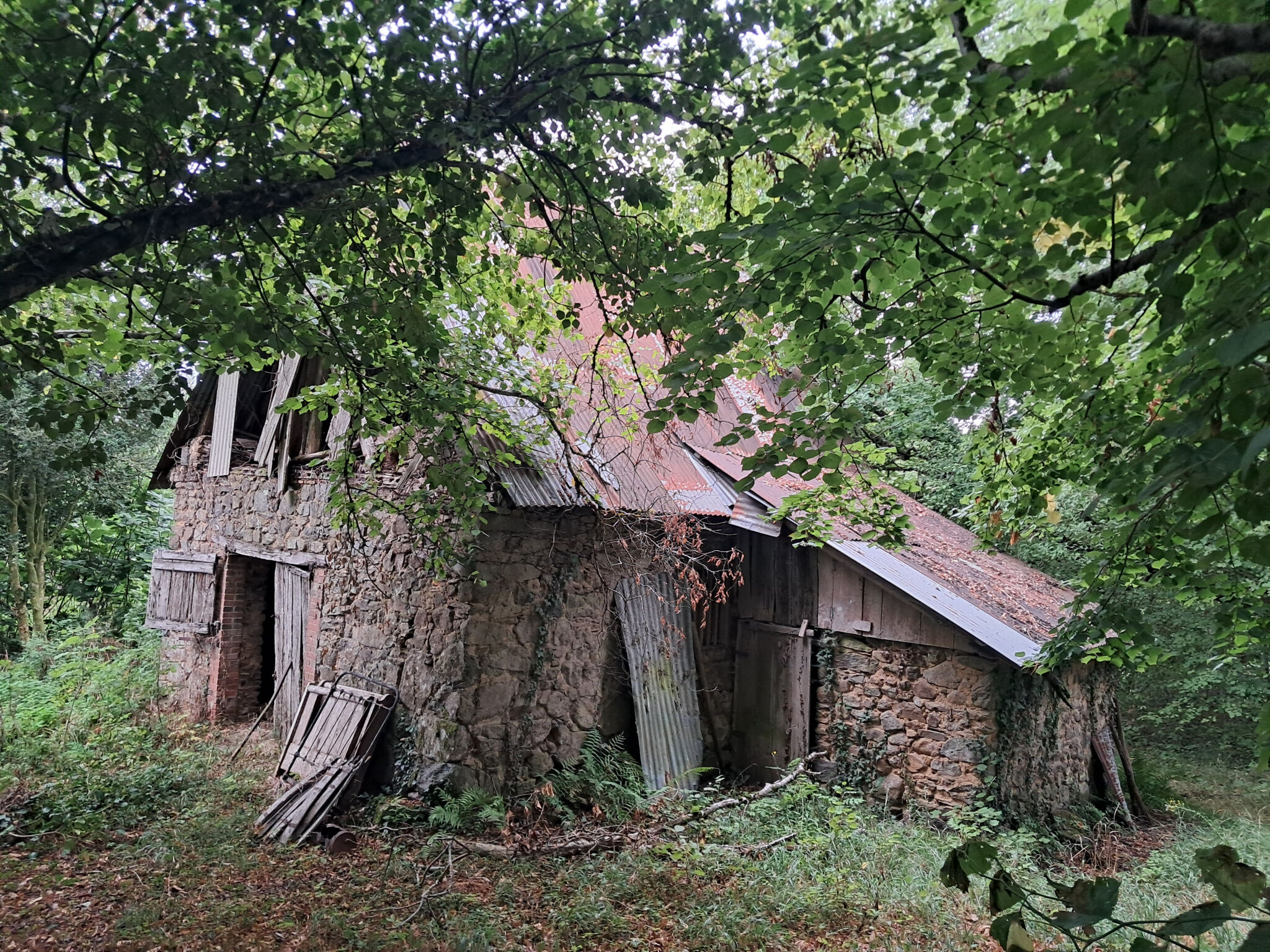 Photo 12 — IMMO COUR ET JARDIN