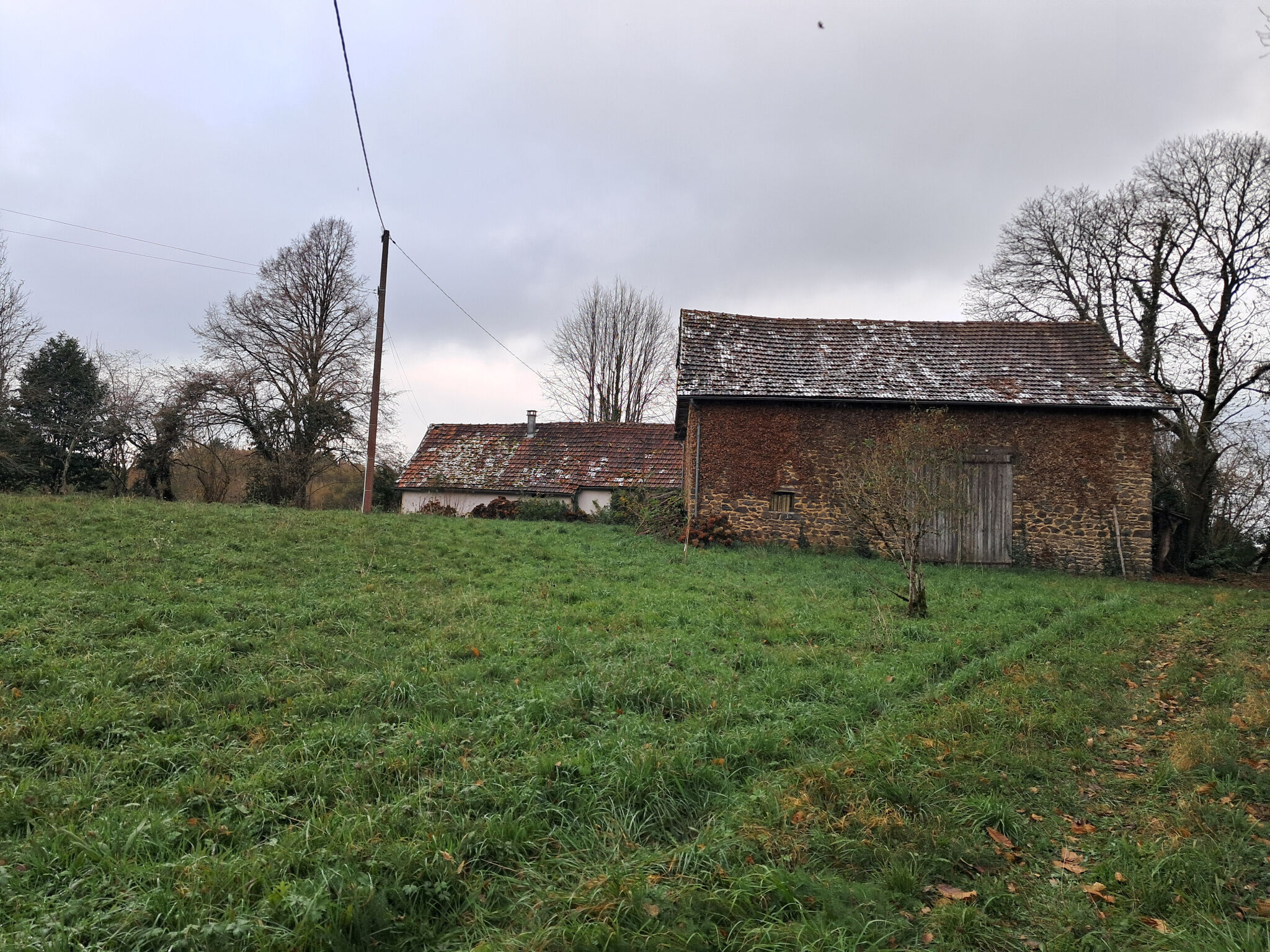 Photo 14 — IMMO COUR ET JARDIN