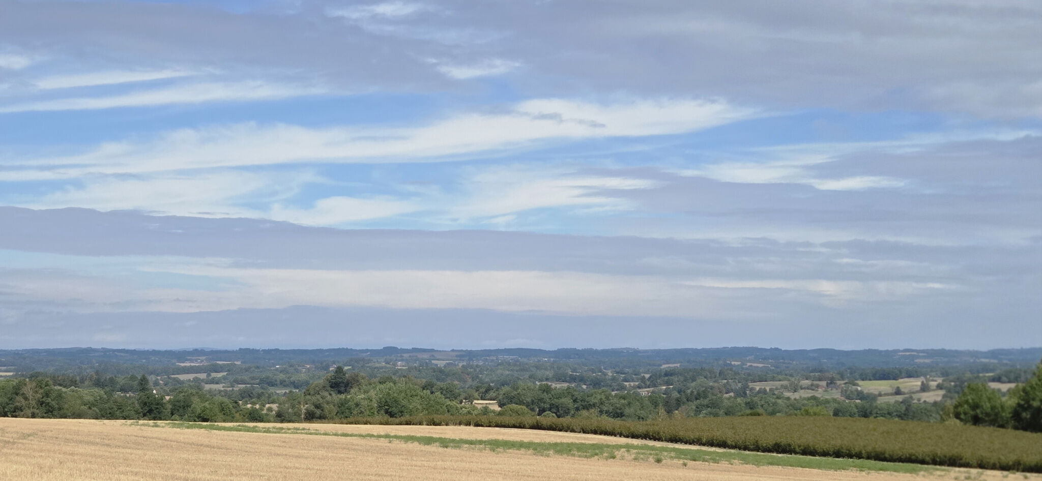 Photo 2 — IMMO COUR ET JARDIN