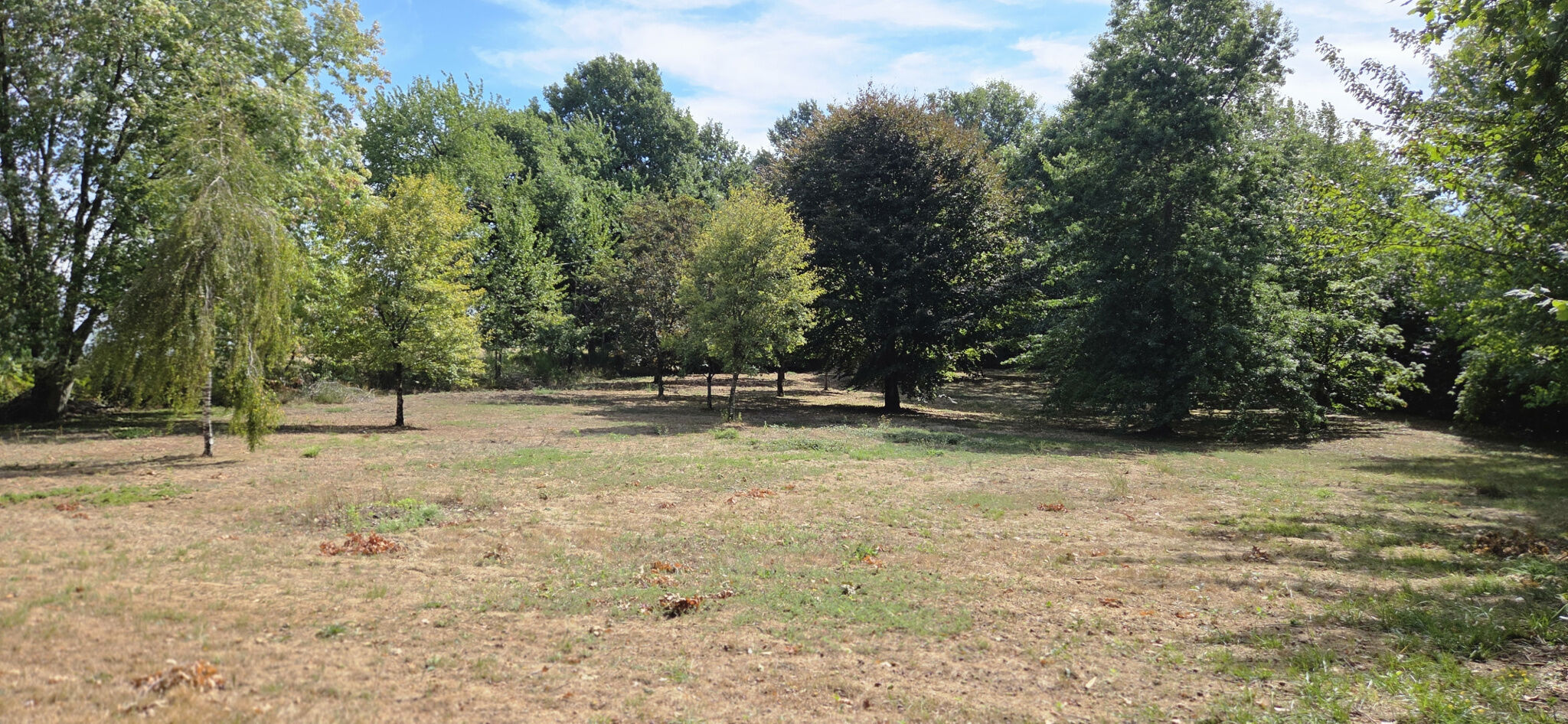 Photo 5 — IMMO COUR ET JARDIN