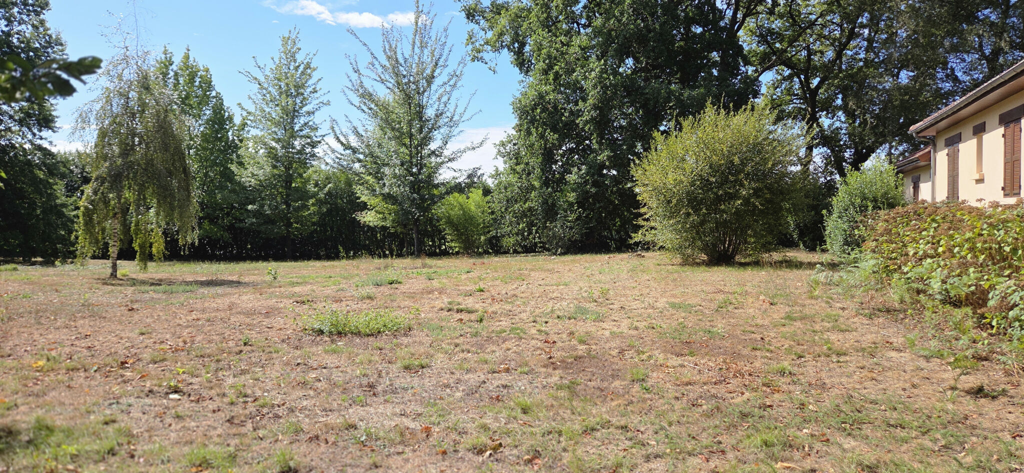 Photo 11 — IMMO COUR ET JARDIN