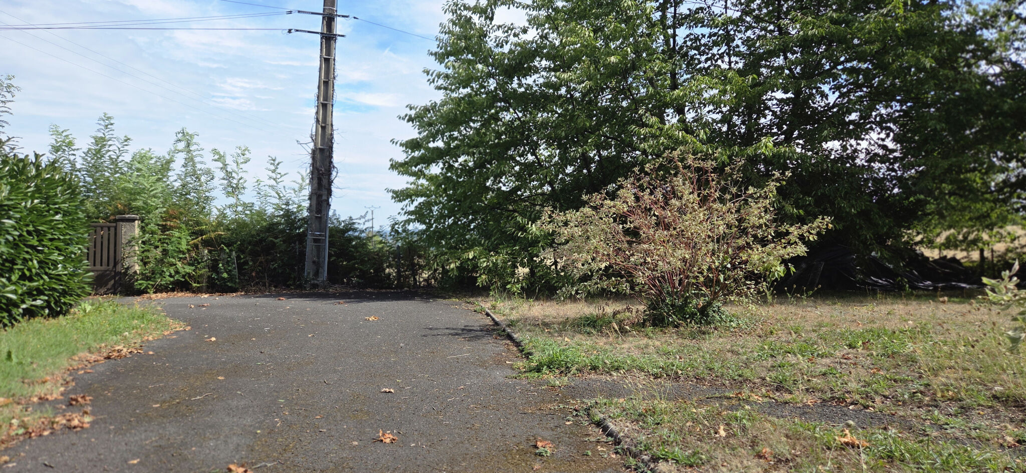 Photo 13 — IMMO COUR ET JARDIN