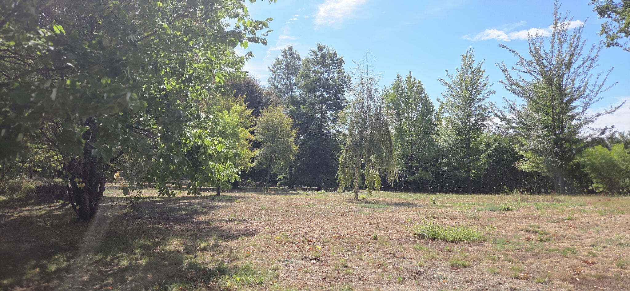 Photo 10 — IMMO COUR ET JARDIN