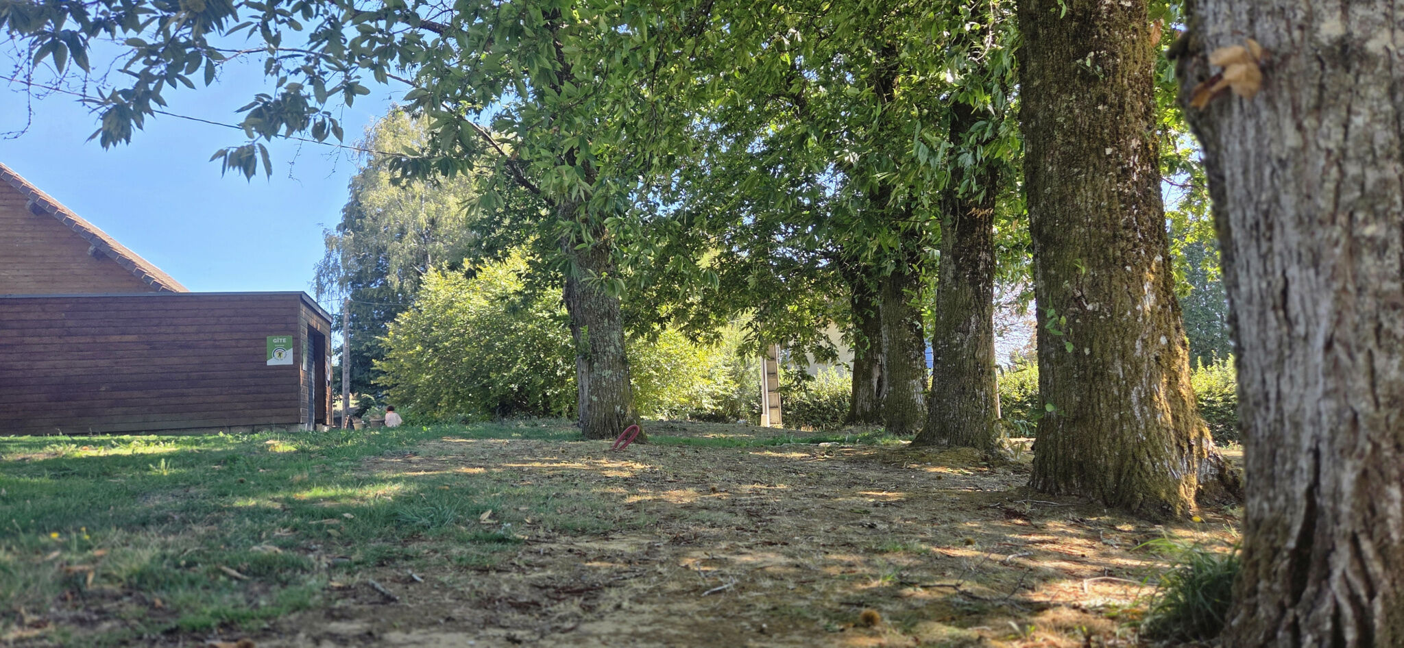 Photo 2 — IMMO COUR ET JARDIN