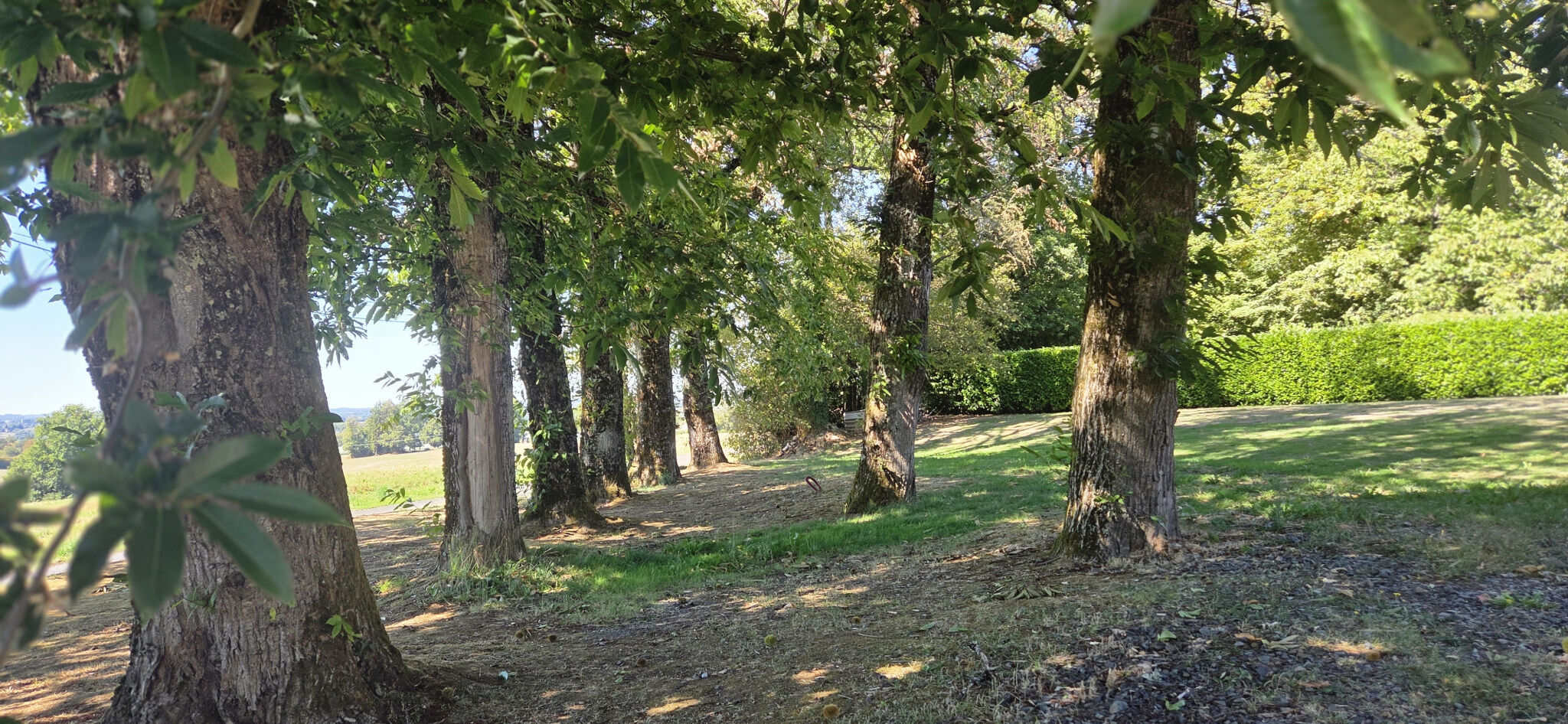 Photo 16 — IMMO COUR ET JARDIN