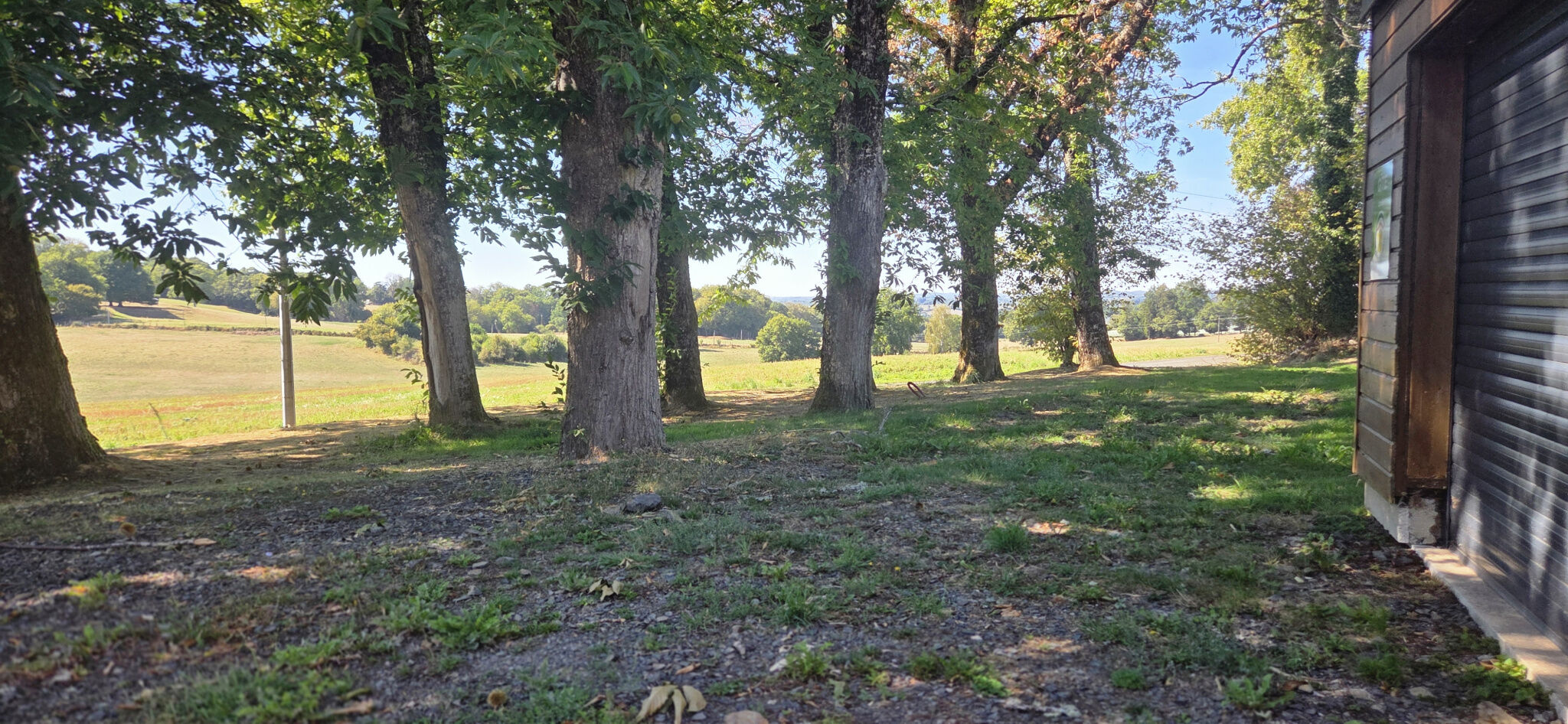 Photo 14 — IMMO COUR ET JARDIN