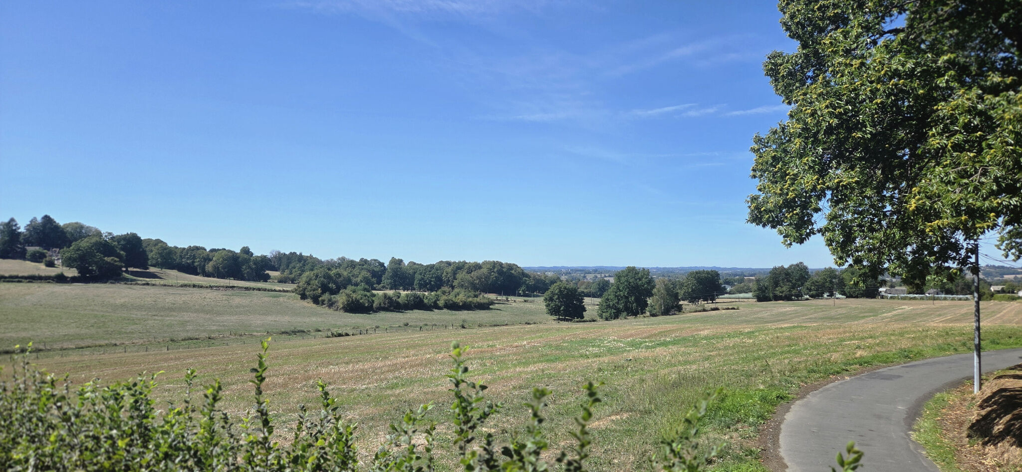 Photo 5 — IMMO COUR ET JARDIN