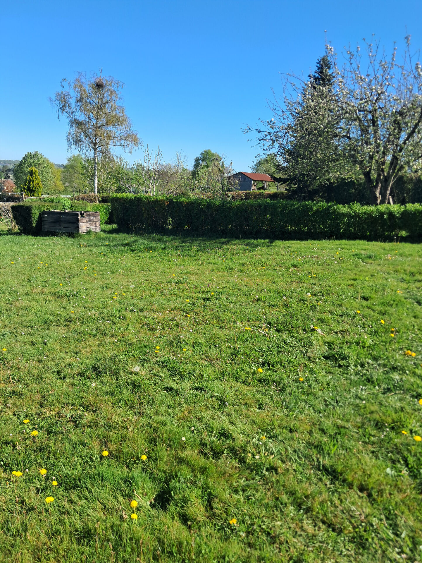 Photo 15 — IMMO COUR ET JARDIN