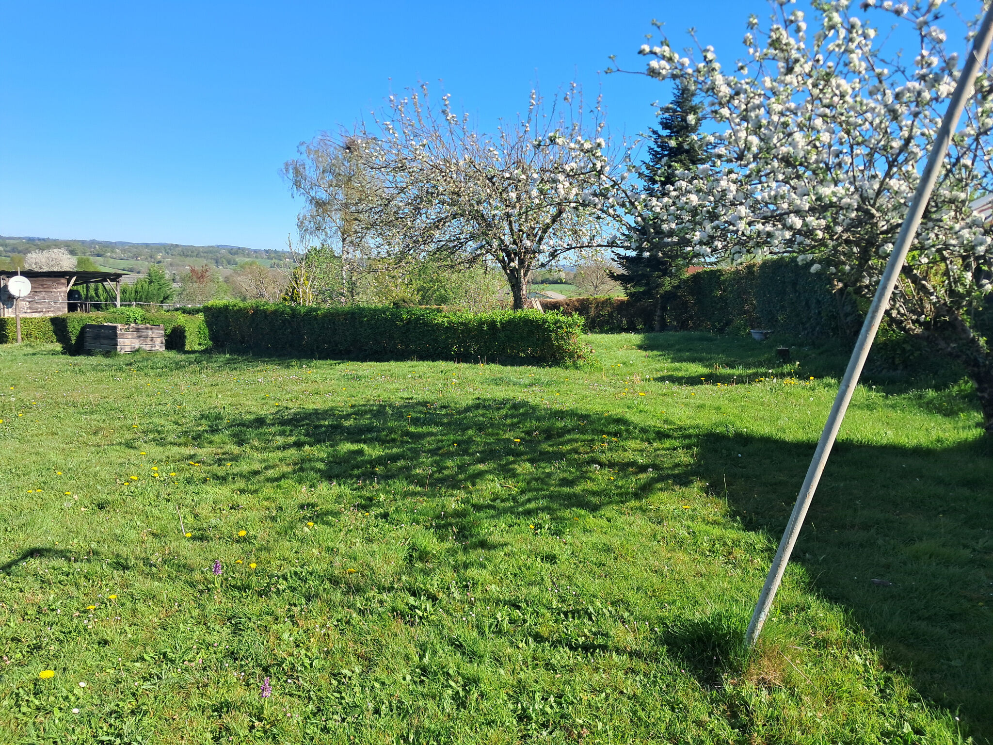 Photo 14 — IMMO COUR ET JARDIN