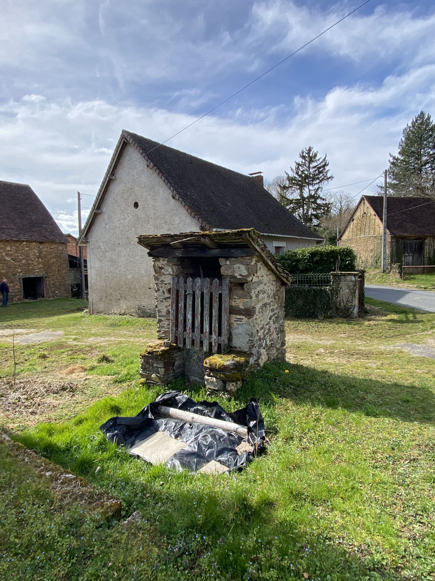 Photo 5 — IMMO COUR ET JARDIN