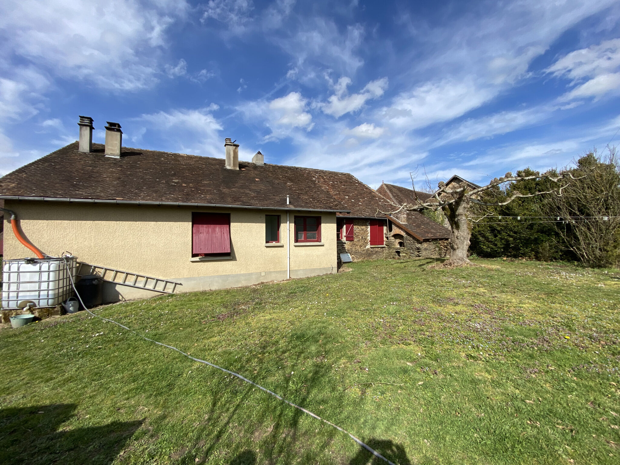 Photo 4 — IMMO COUR ET JARDIN