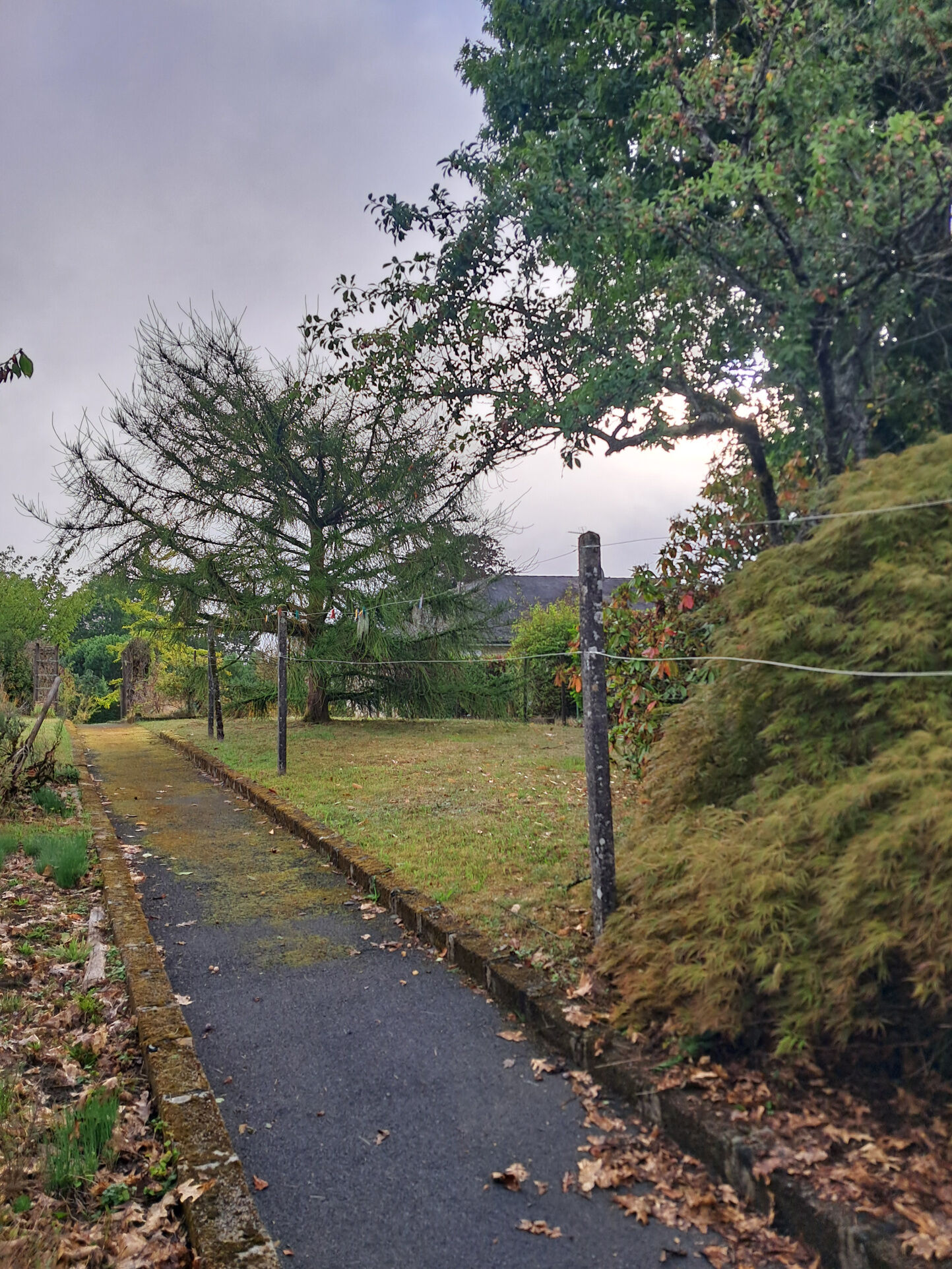 Photo 21 — IMMO COUR ET JARDIN