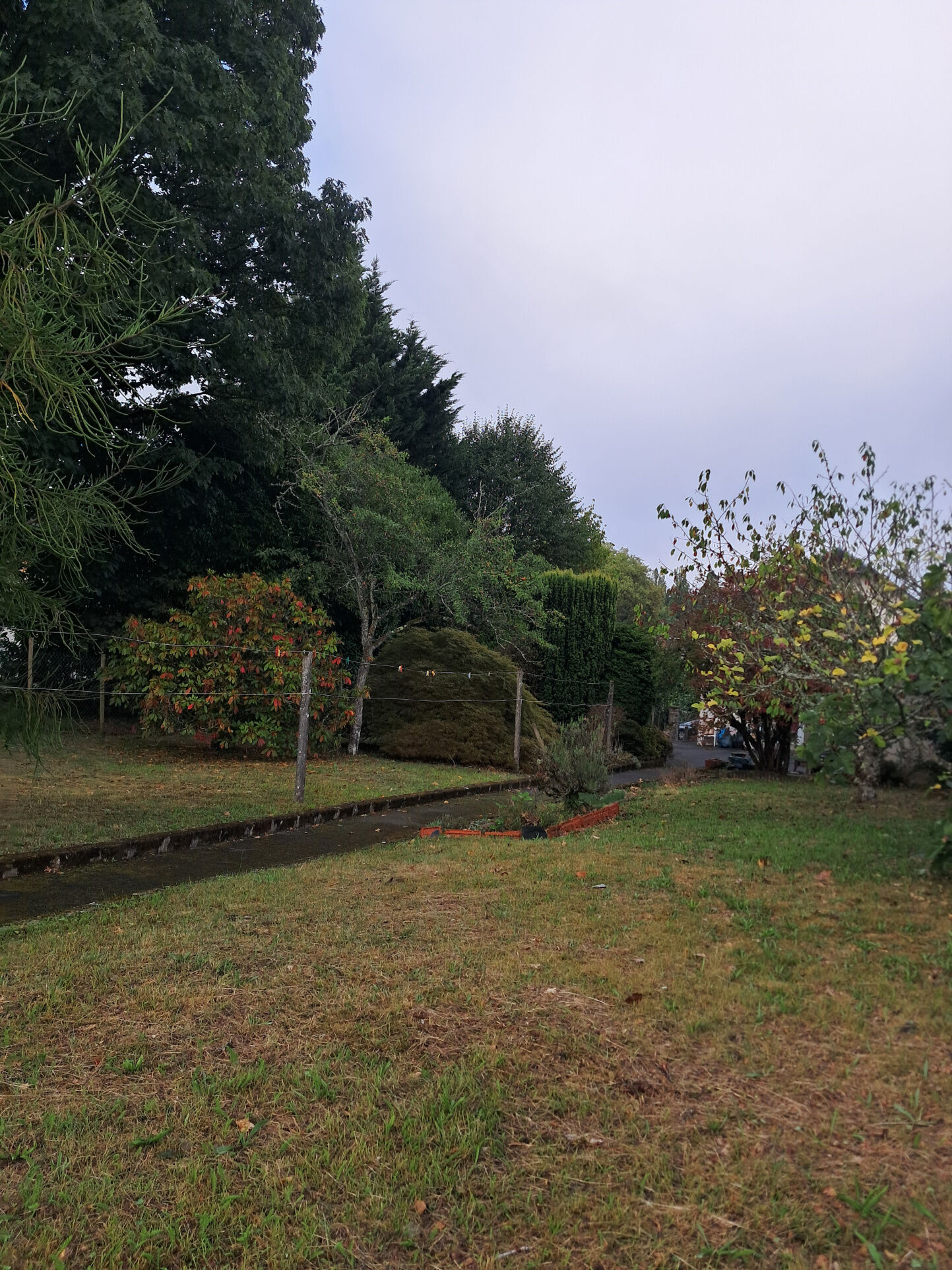 Photo 22 — IMMO COUR ET JARDIN