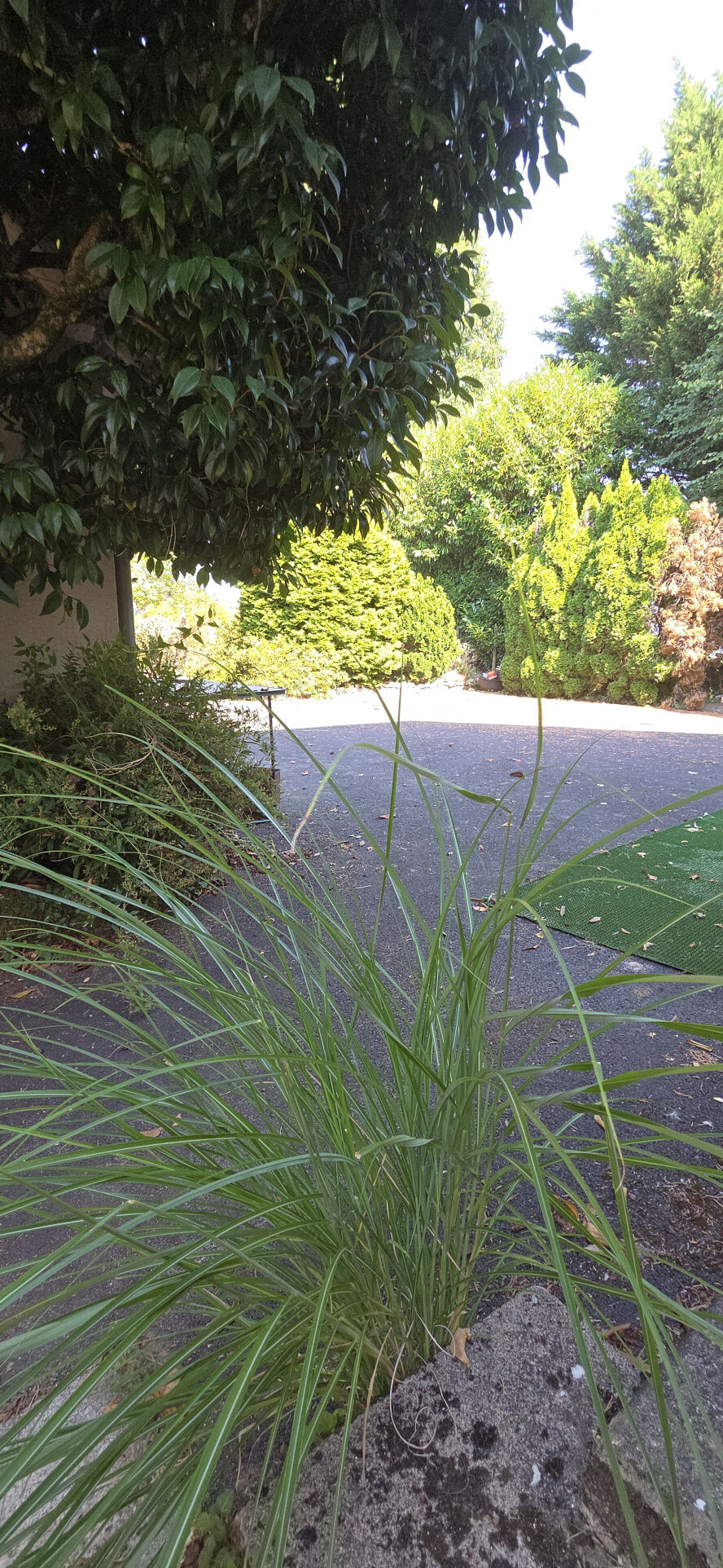 Photo 11 — IMMO COUR ET JARDIN