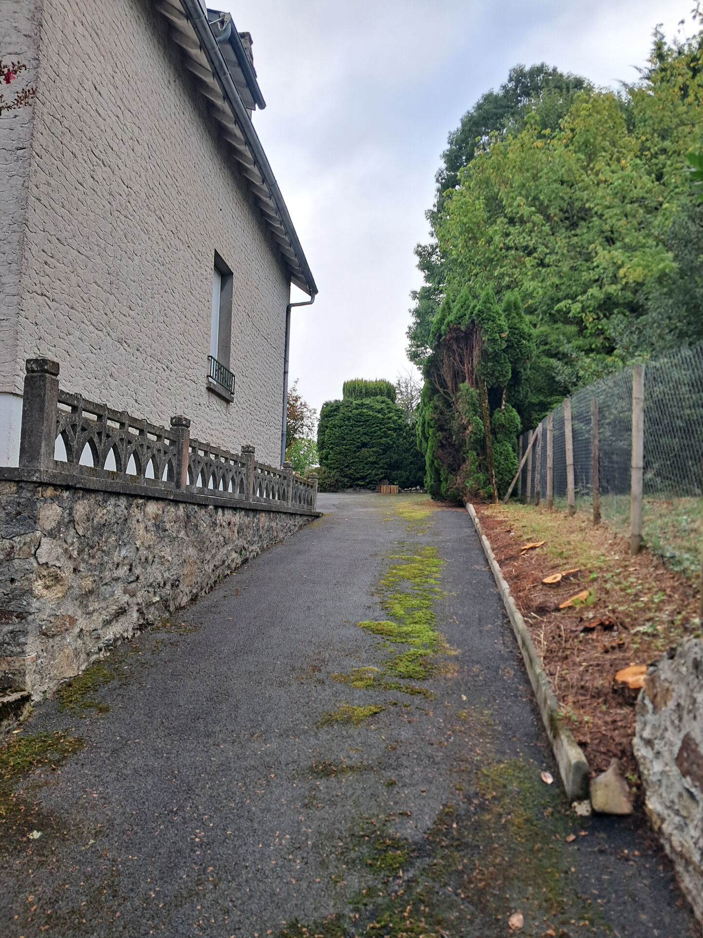 Photo 3 — IMMO COUR ET JARDIN