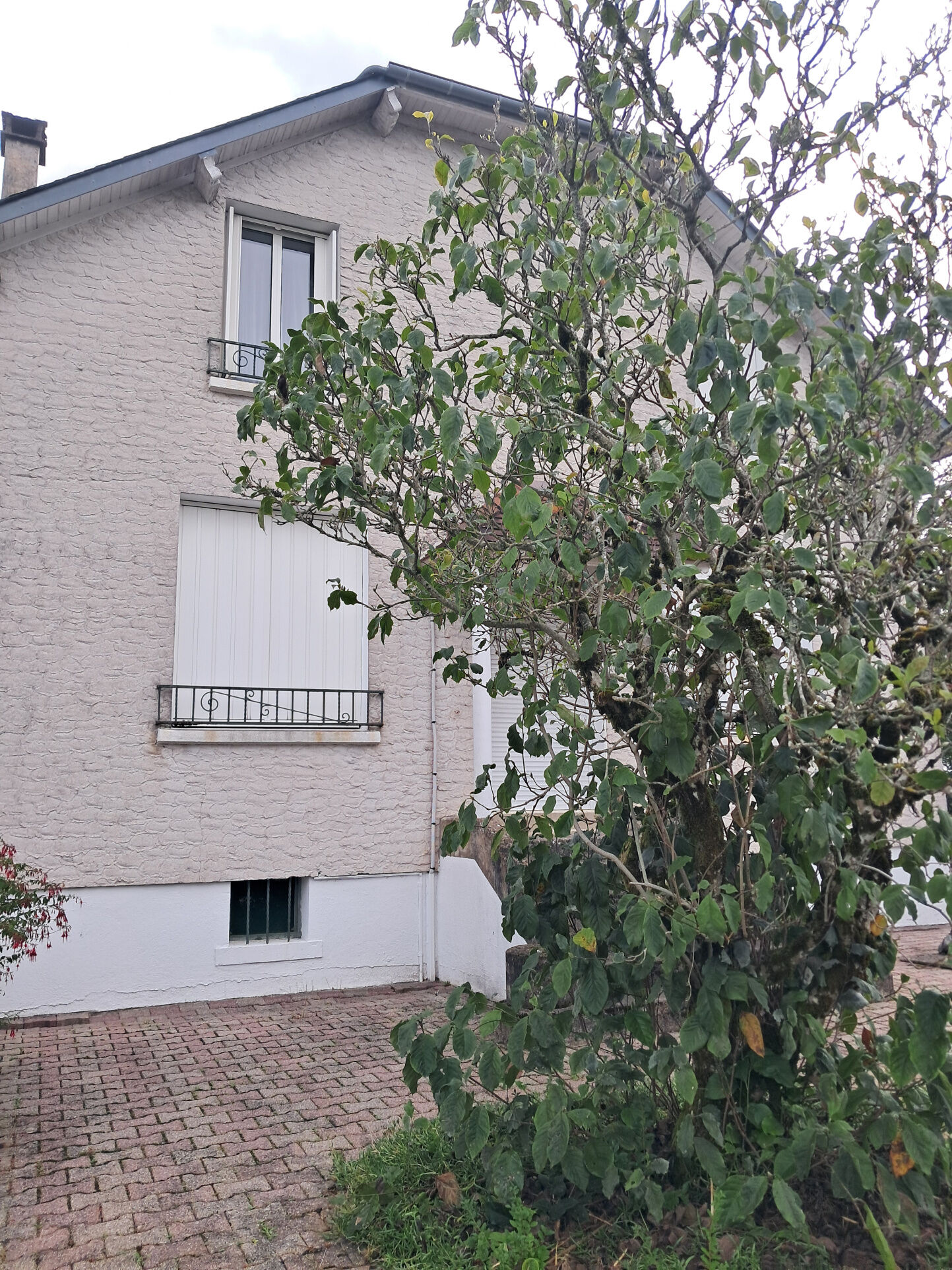 Photo 9 — IMMO COUR ET JARDIN