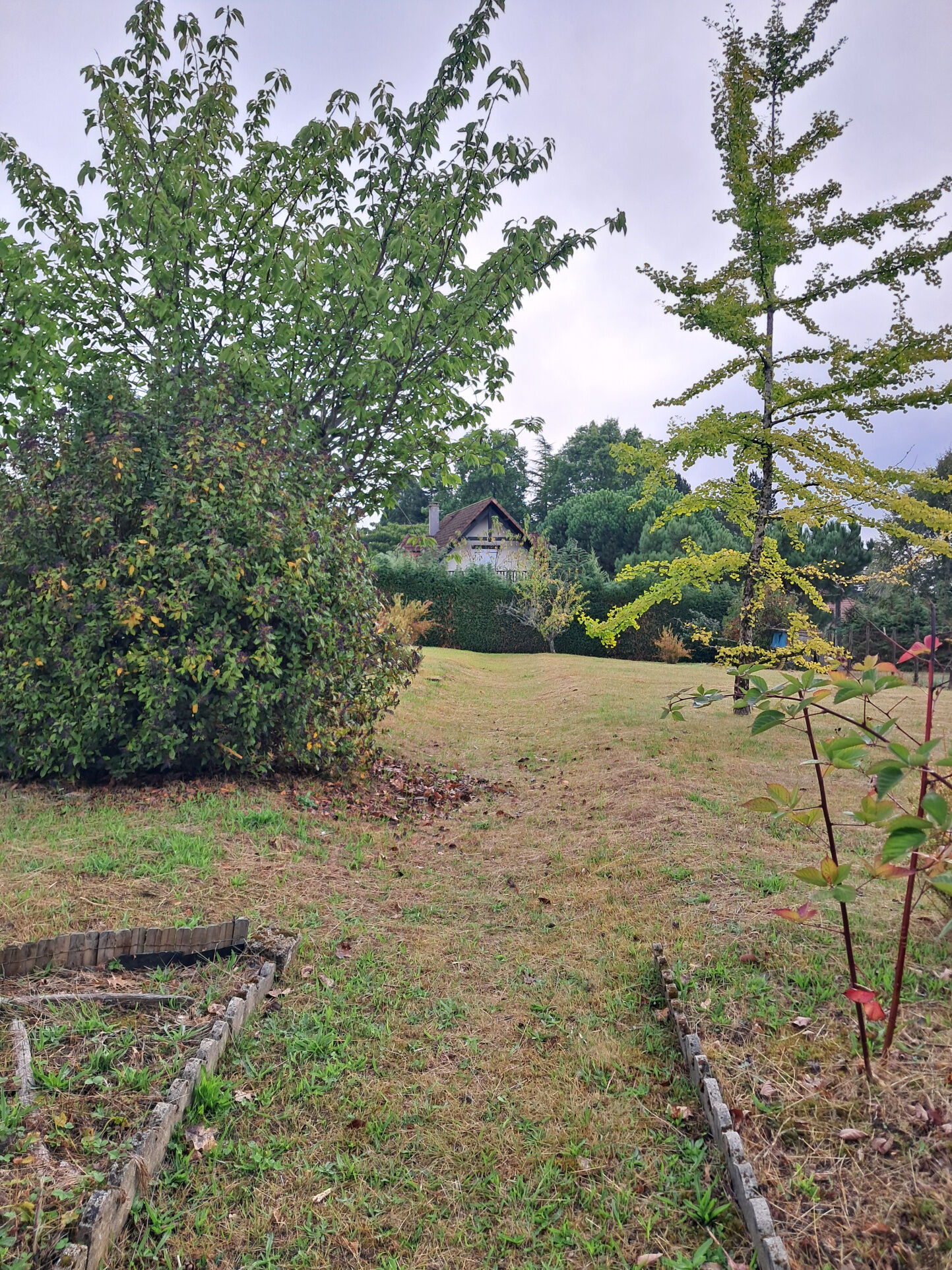 Photo 20 — IMMO COUR ET JARDIN