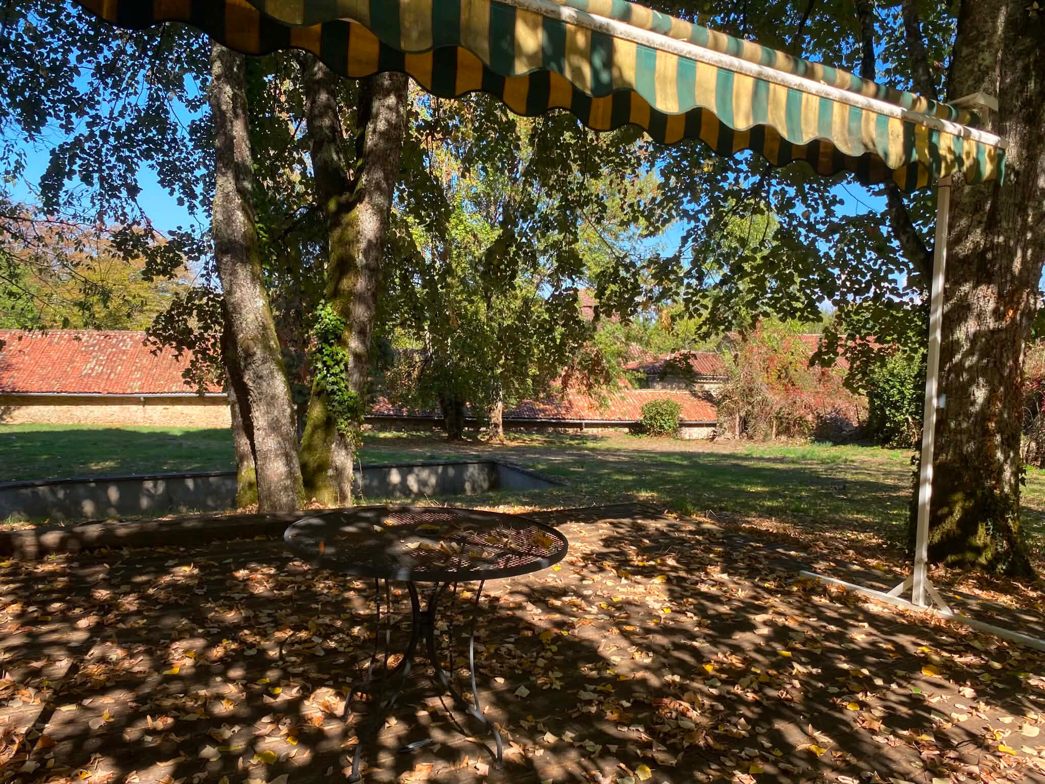 Photo 4 — IMMO COUR ET JARDIN