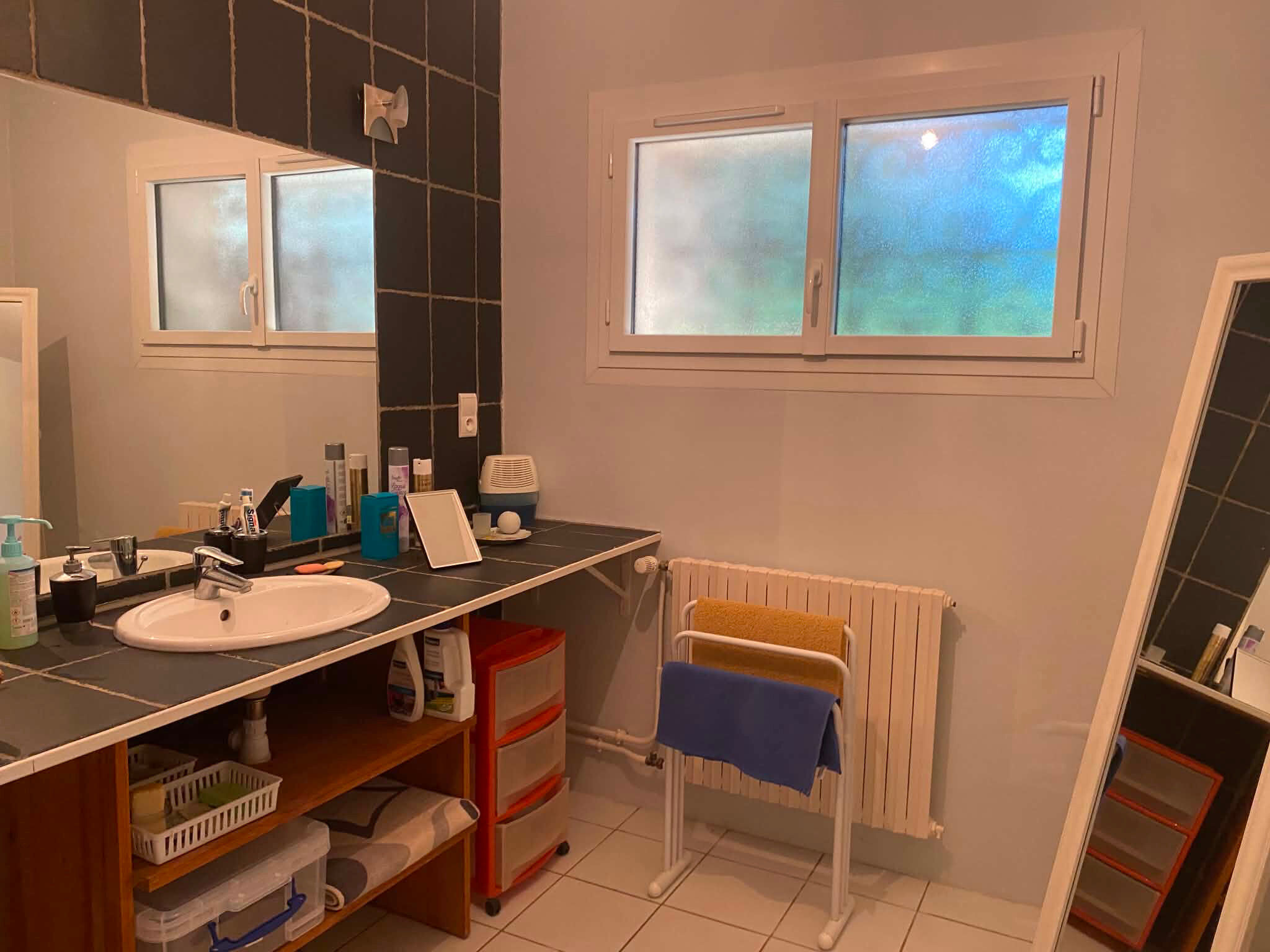 Photo 10 — IMMO COUR ET JARDIN