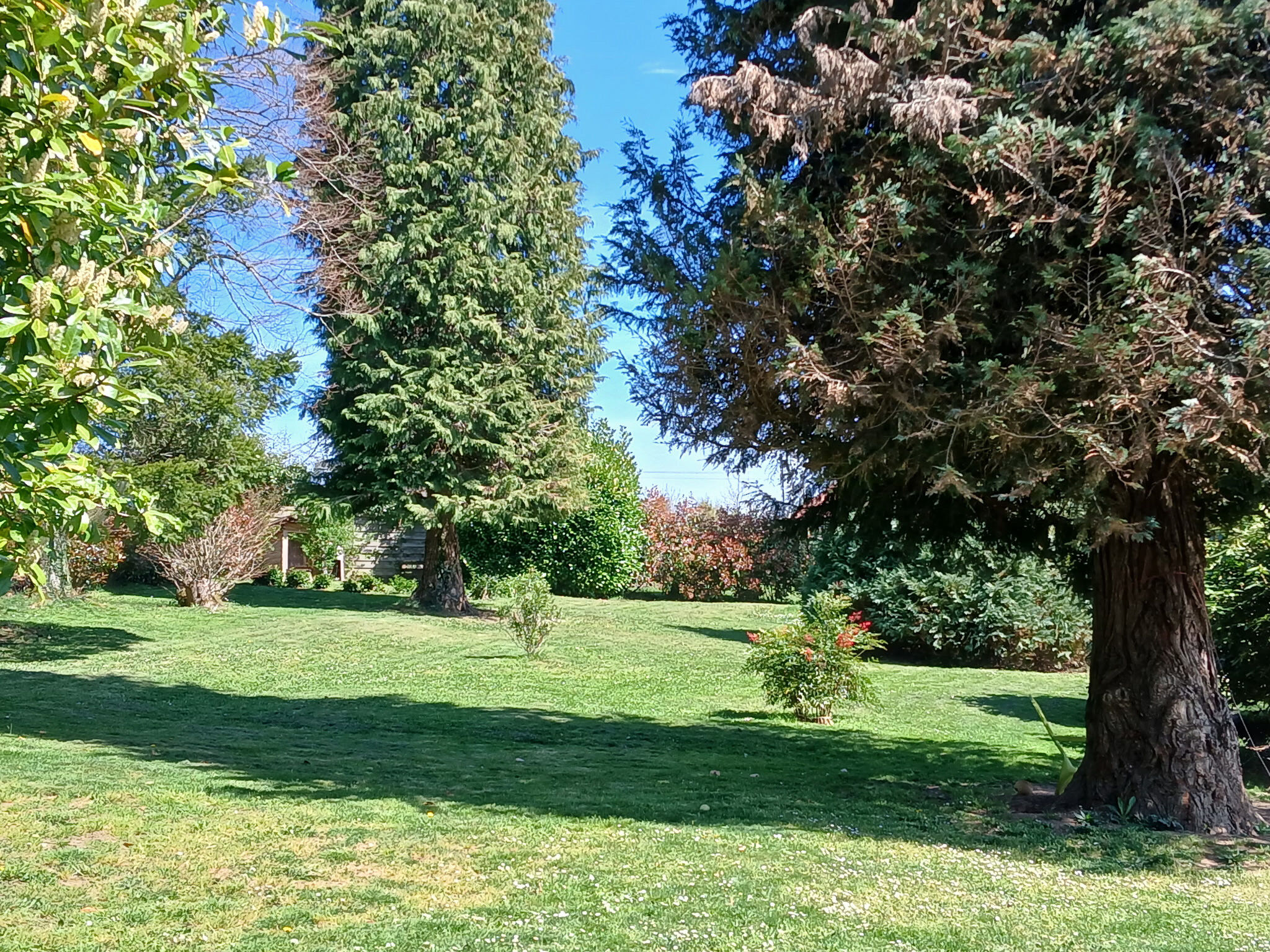 Photo 11 — IMMO COUR ET JARDIN