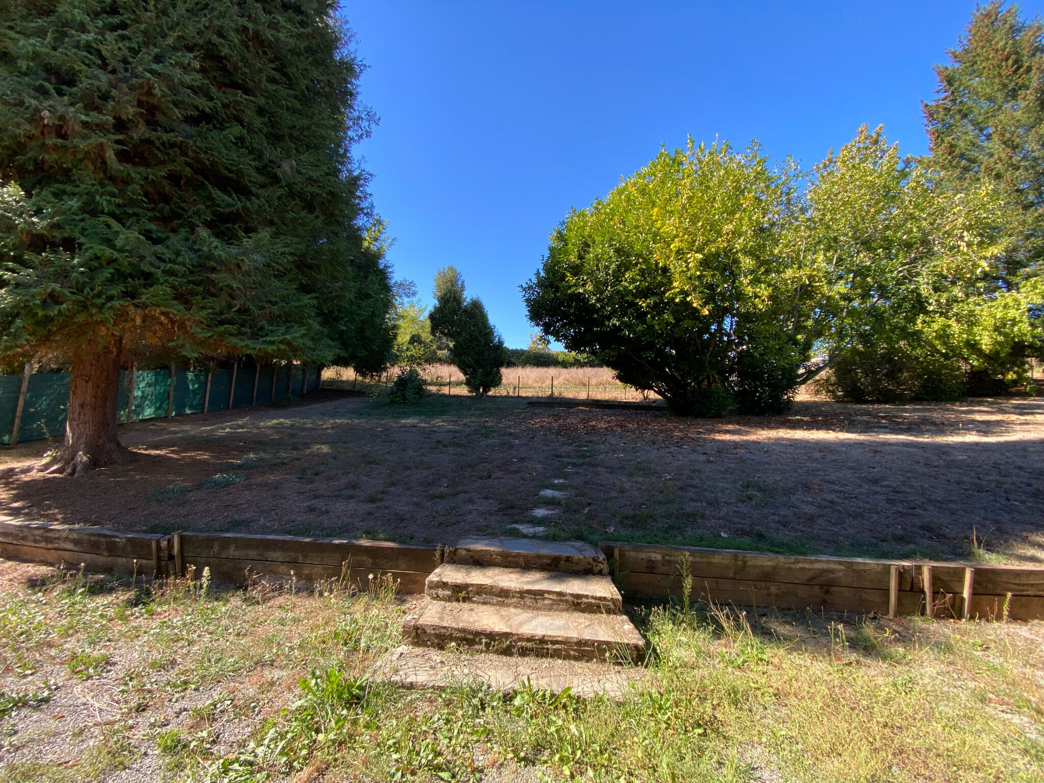 Photo 2 — IMMO COUR ET JARDIN
