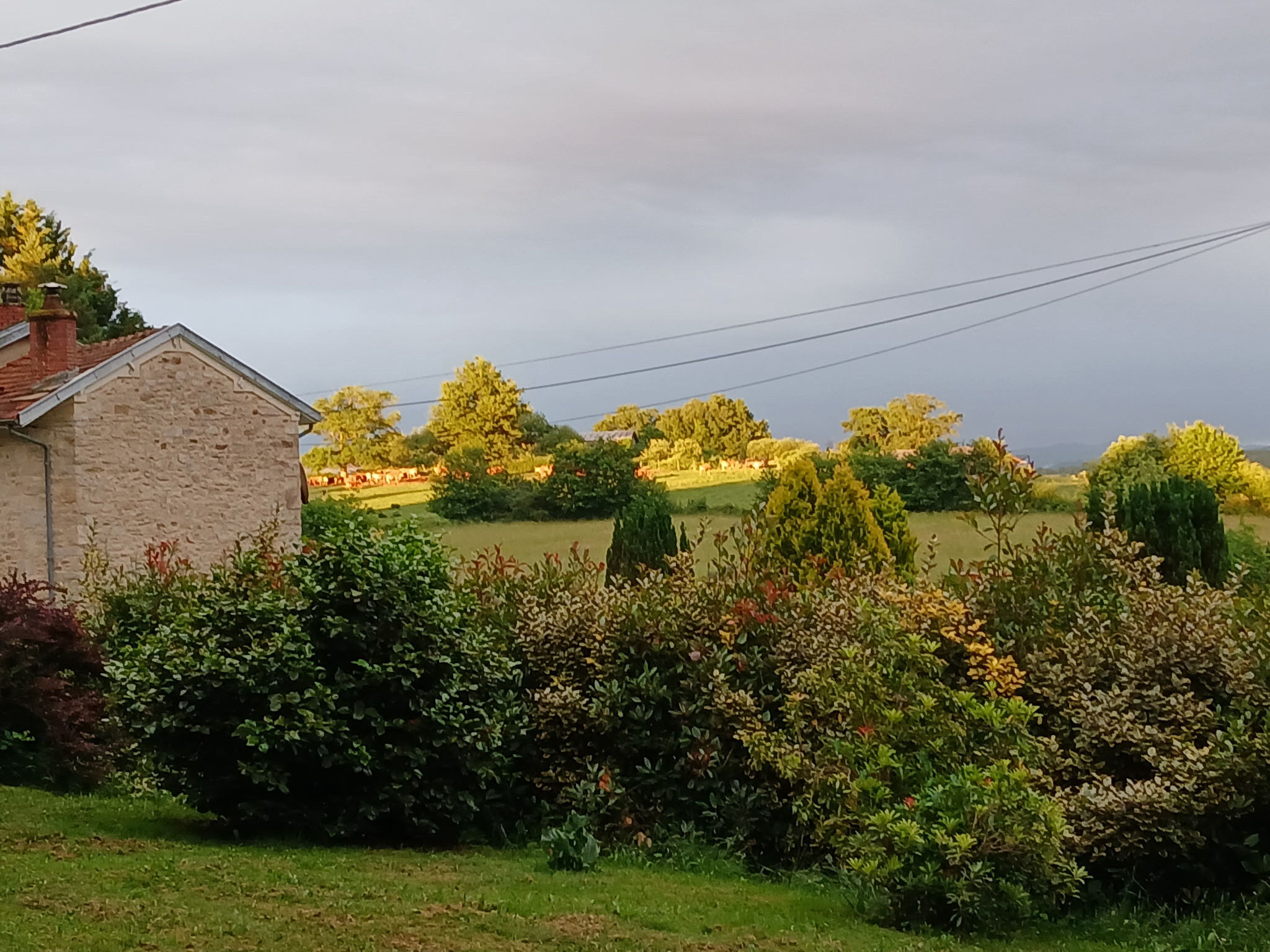 Photo 17 — IMMO COUR ET JARDIN