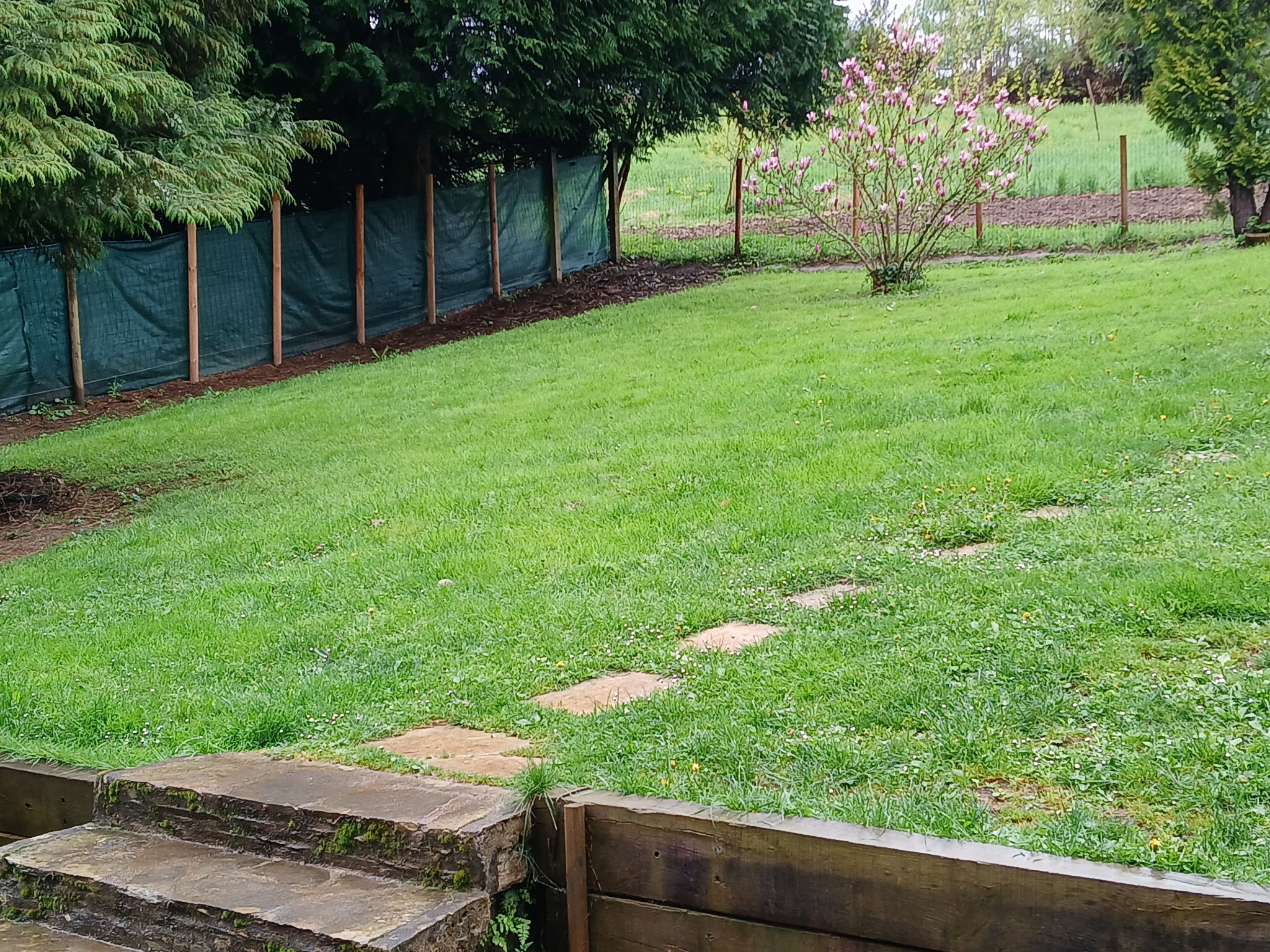 Photo 10 — IMMO COUR ET JARDIN