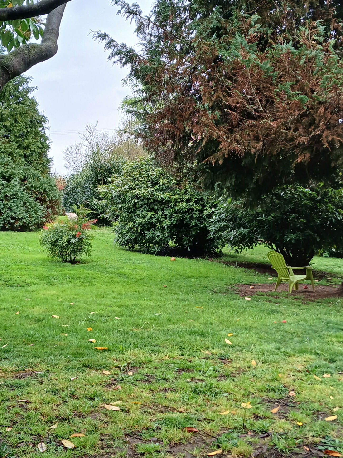 Photo 9 — IMMO COUR ET JARDIN