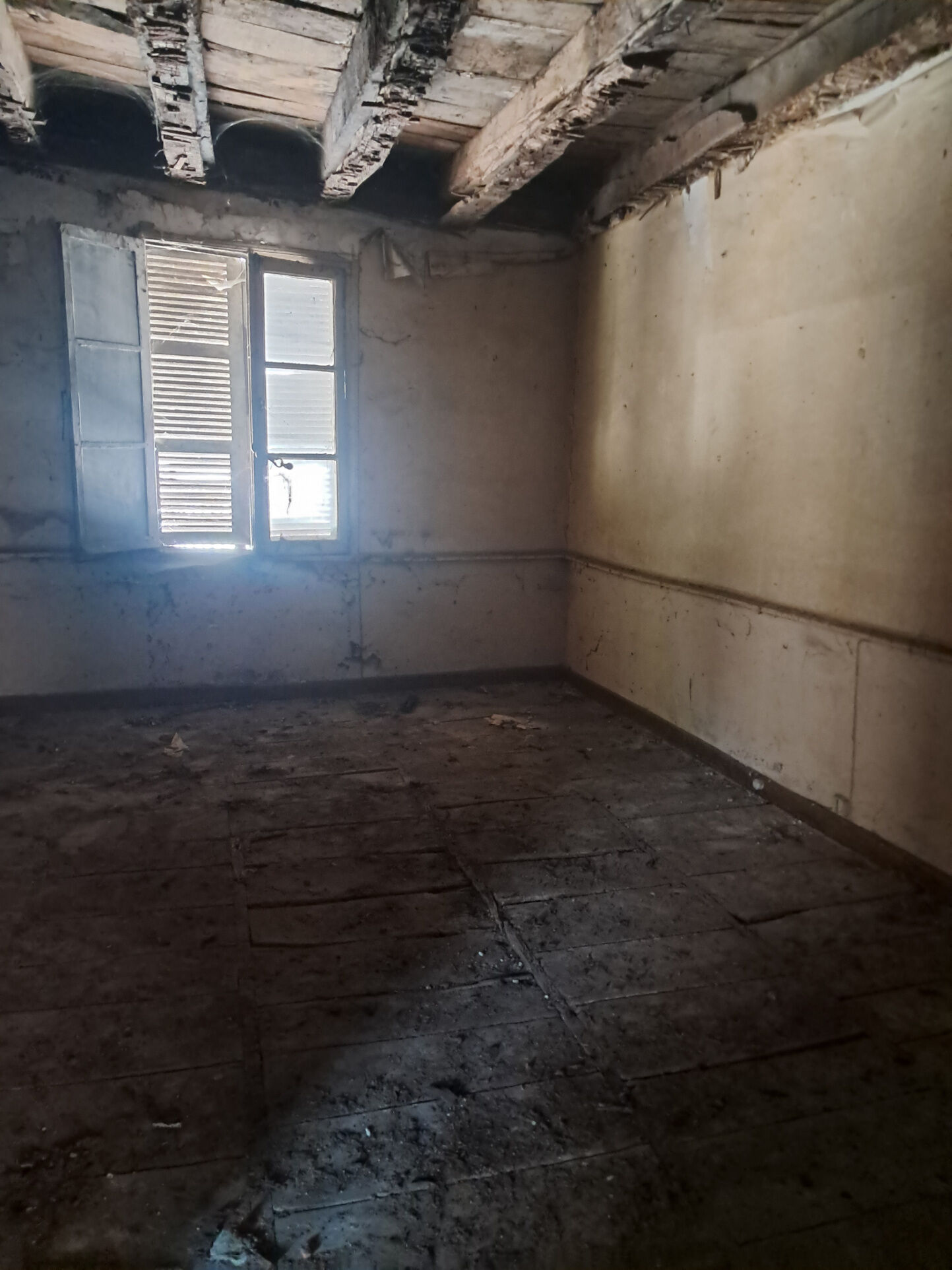 Photo 4 — IMMO COUR ET JARDIN