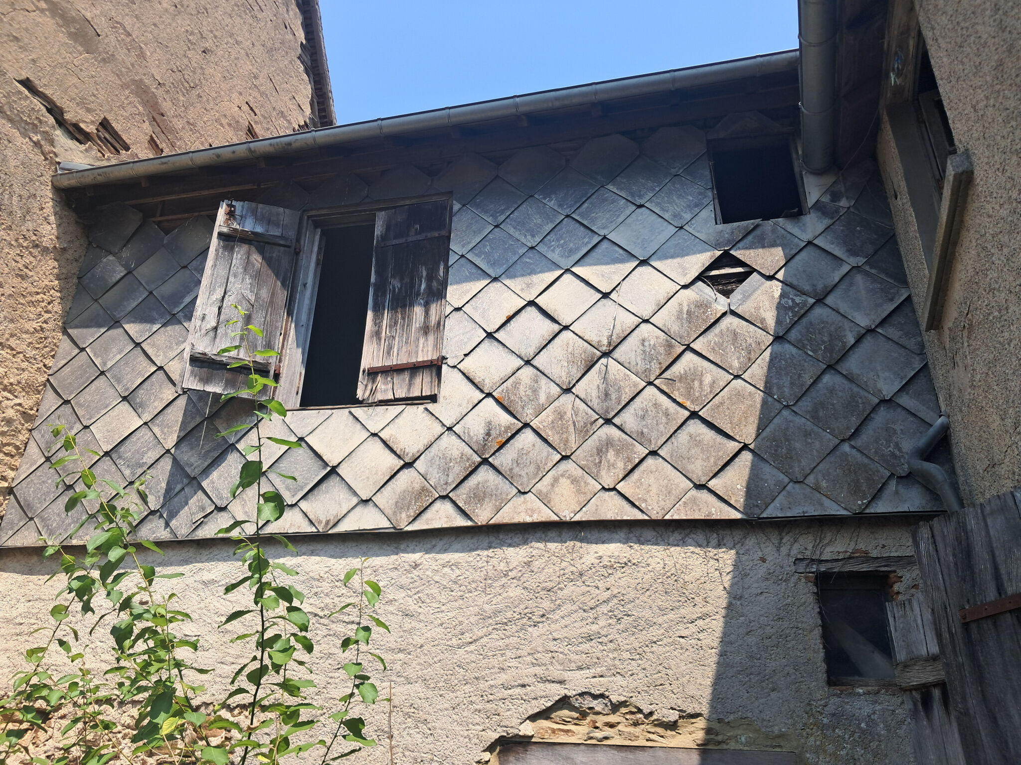 Photo 5 — IMMO COUR ET JARDIN