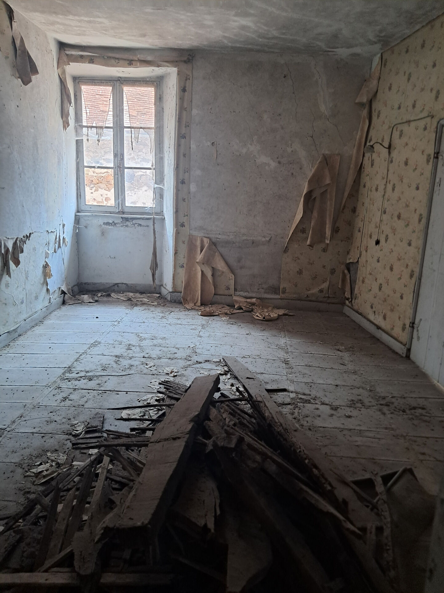 Photo 2 — IMMO COUR ET JARDIN