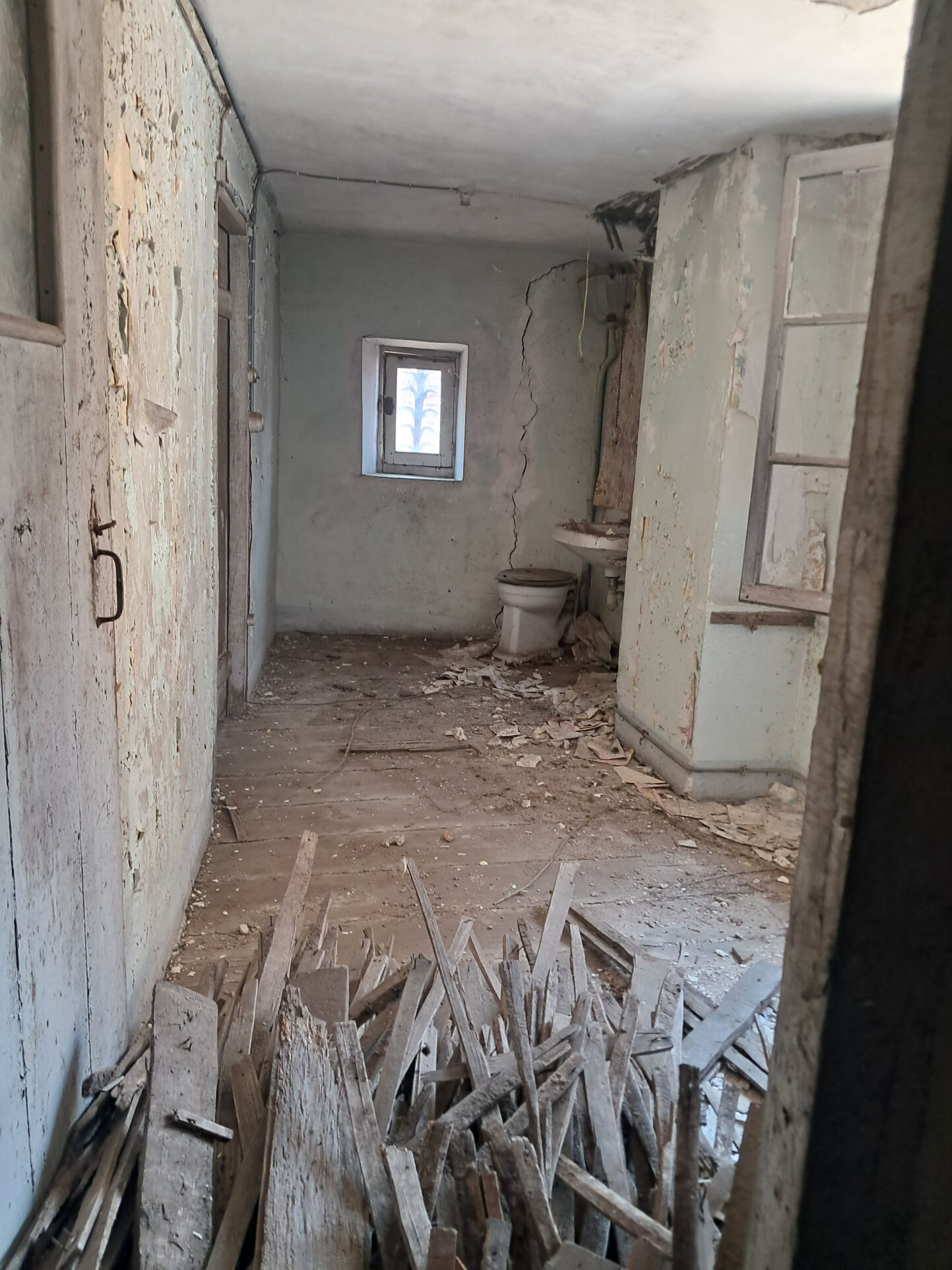 Photo 3 — IMMO COUR ET JARDIN