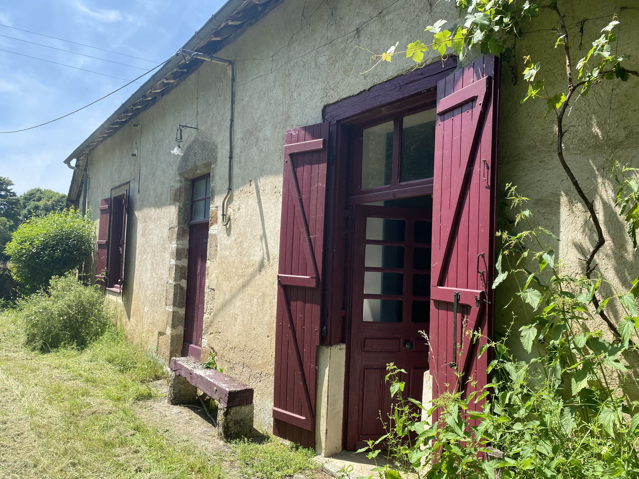 Photo 3 — IMMO COUR ET JARDIN