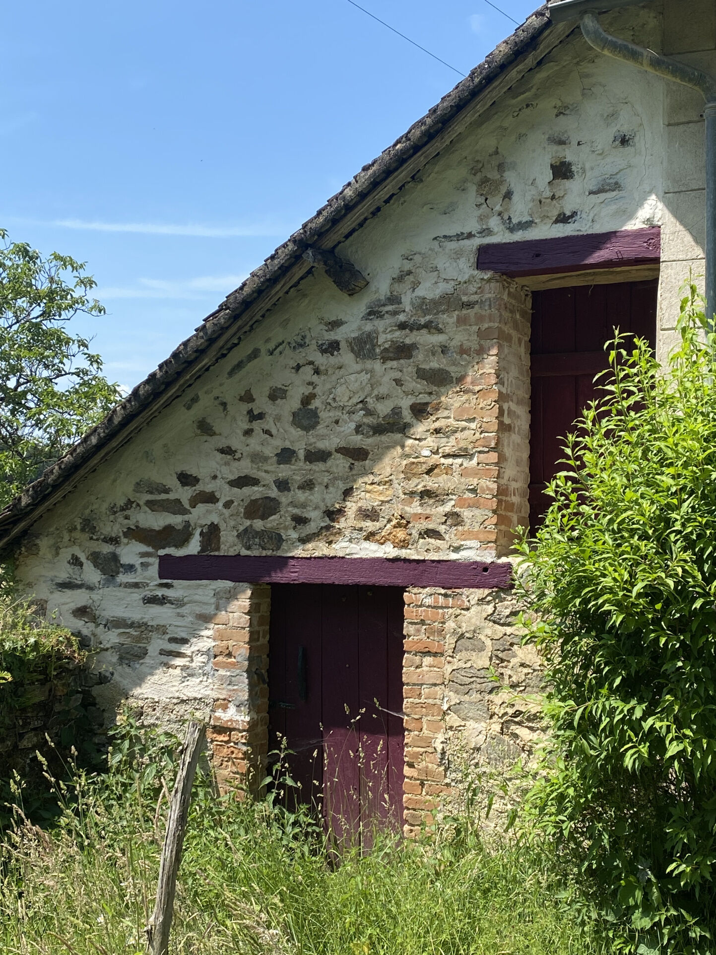 Photo 9 — IMMO COUR ET JARDIN