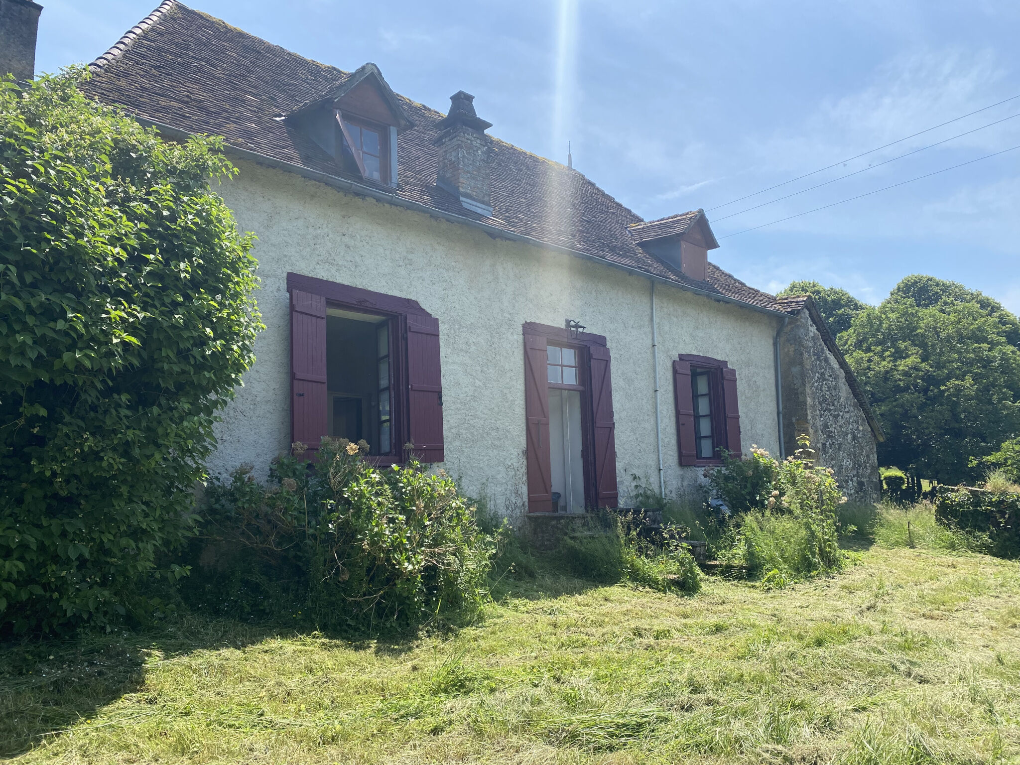 Photo 8 — IMMO COUR ET JARDIN