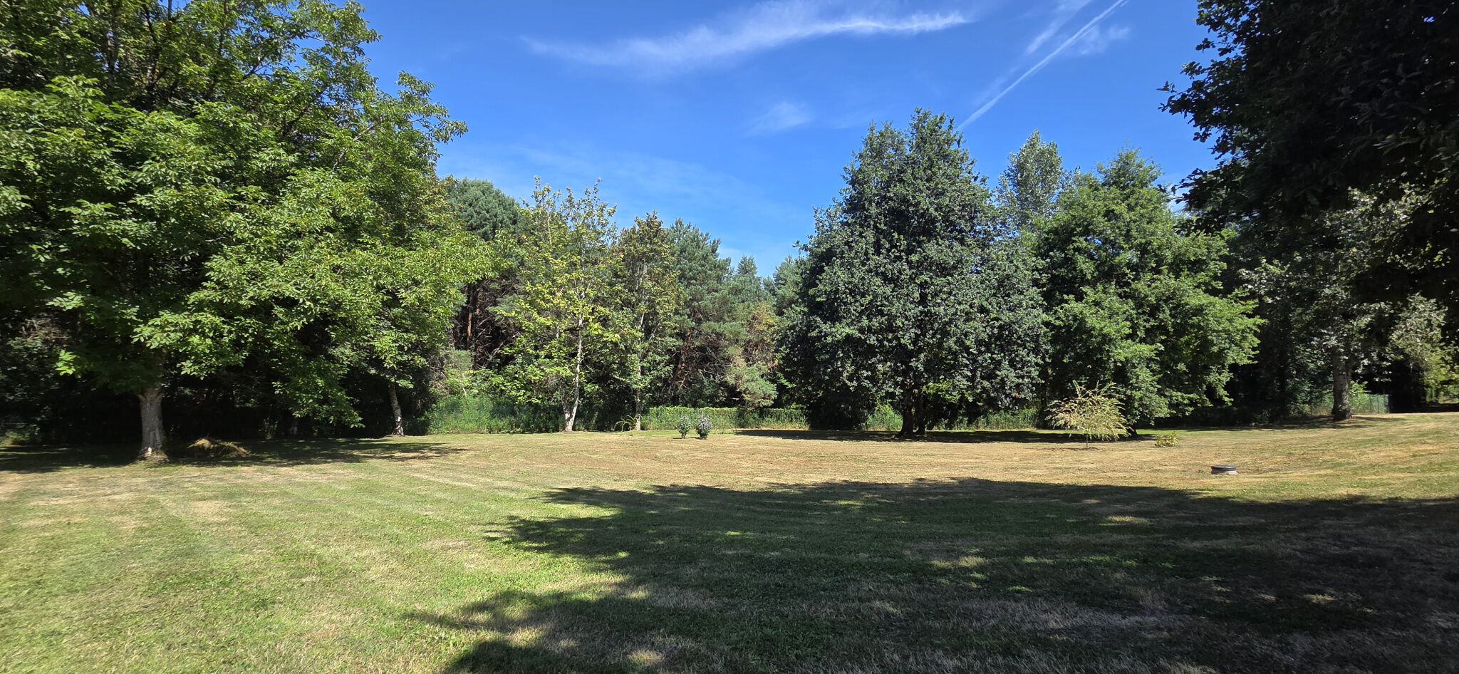 Photo 4 — IMMO COUR ET JARDIN