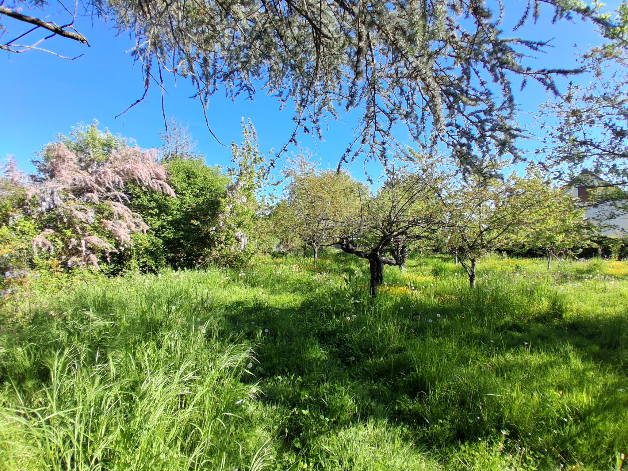 Photo 10 — ID Gien Immobilier