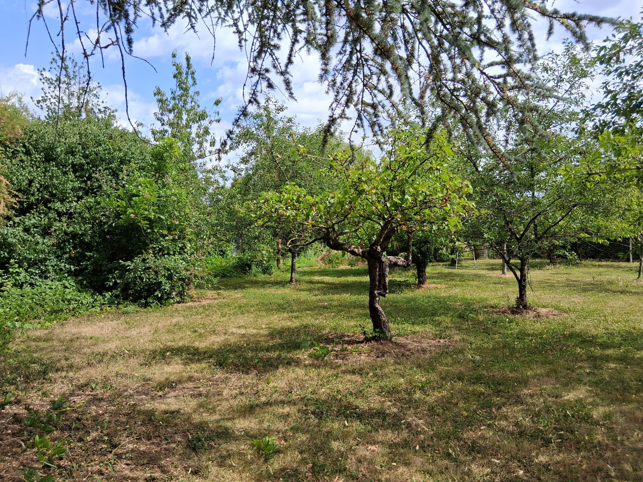 Photo 13 — ID Gien Immobilier