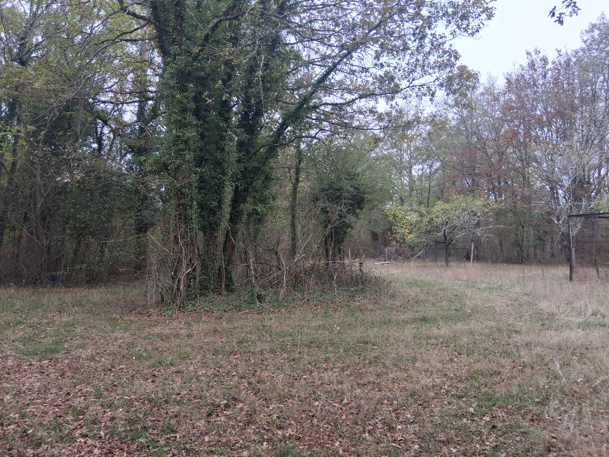 Photo 2 — ID Gien Immobilier