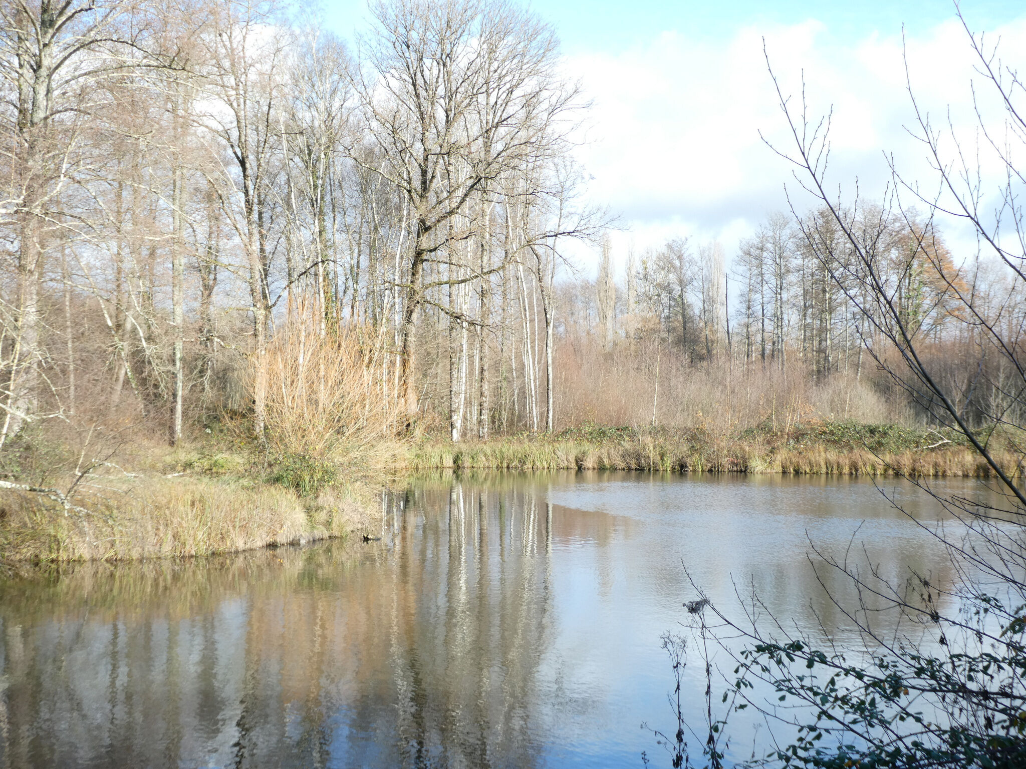 Photo 15 — ID Gien Immobilier